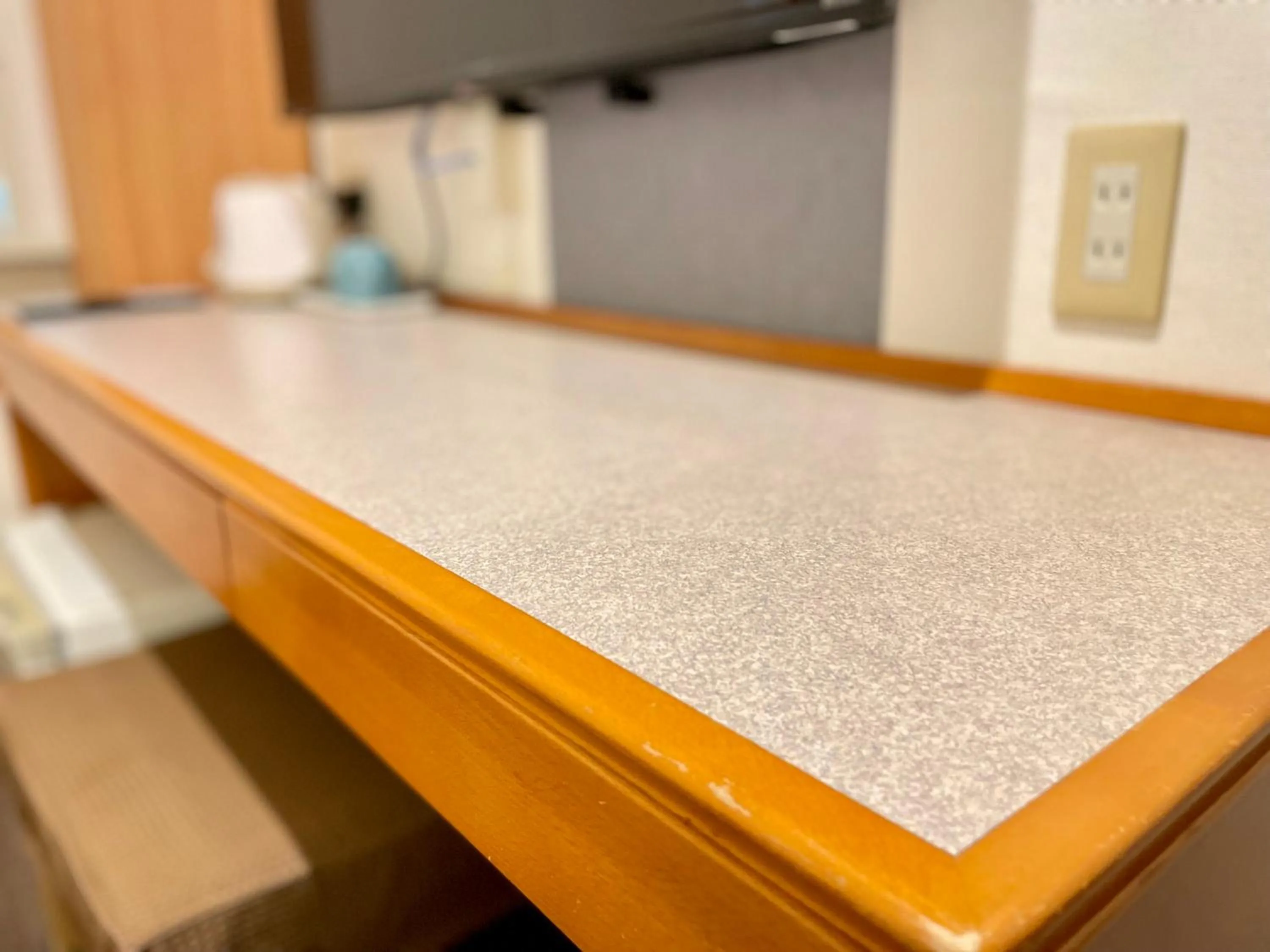 Photo of the whole room in Sabae Daiichi Hotel