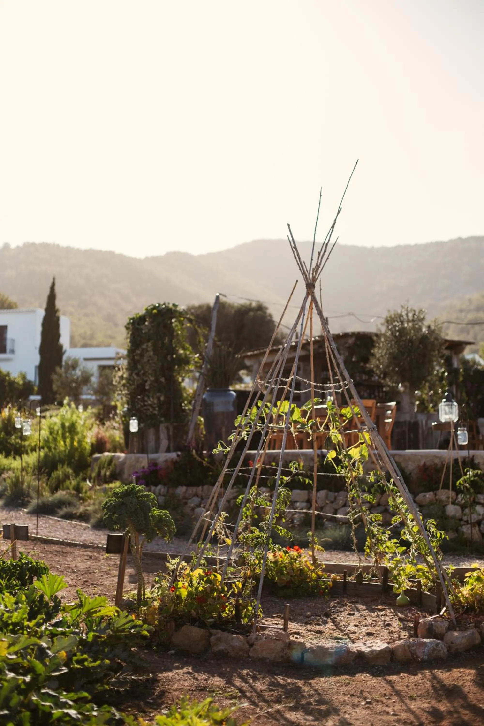 Restaurant/places to eat in Casa Maca