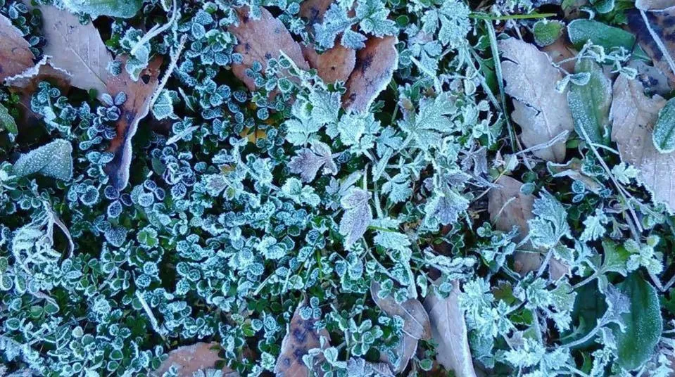 民宿有田 Arita Guesthouse