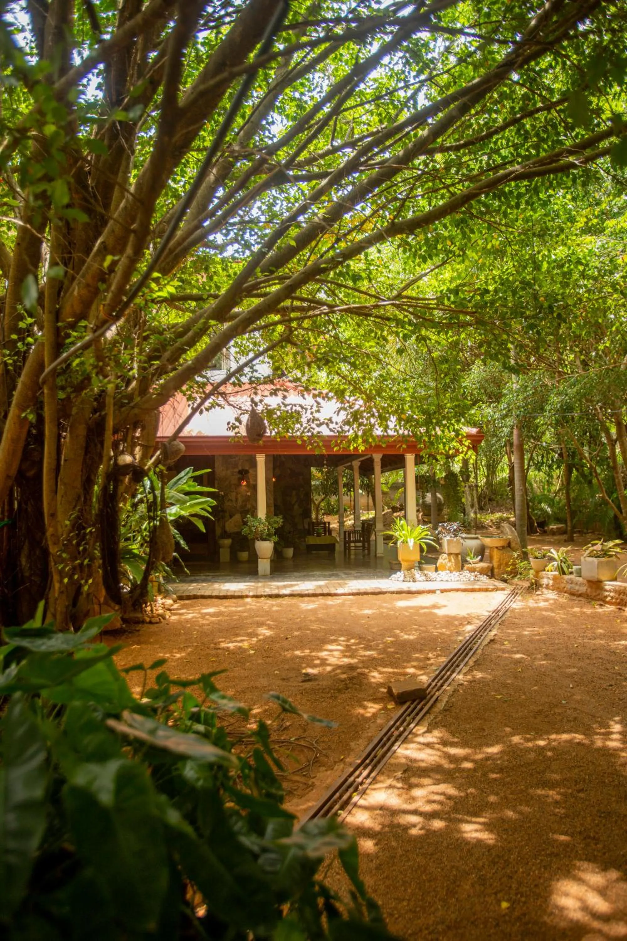 Property building in Evergreen Hotel Dambulla