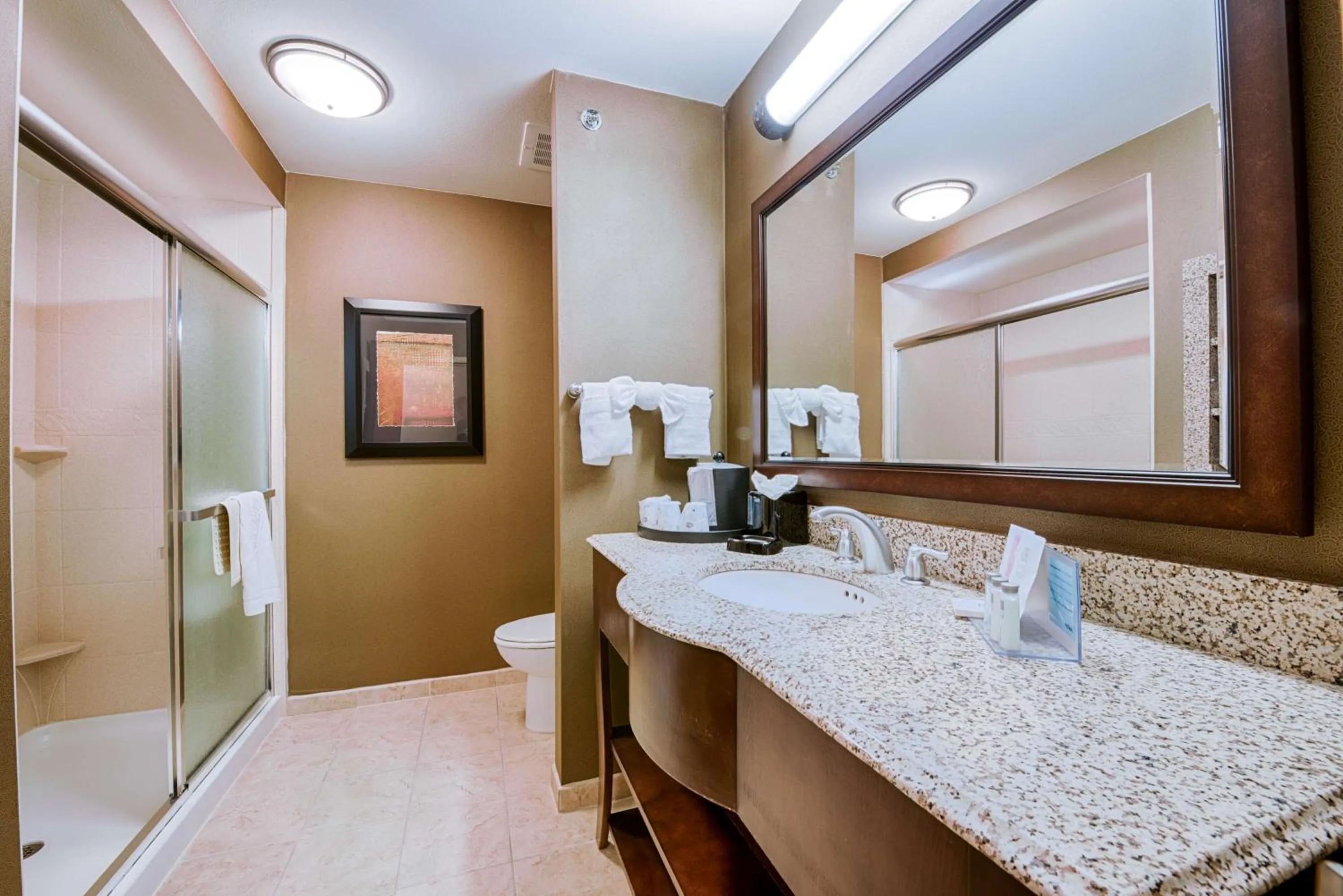 Bathroom in Hampton Inn & Suites Pinedale