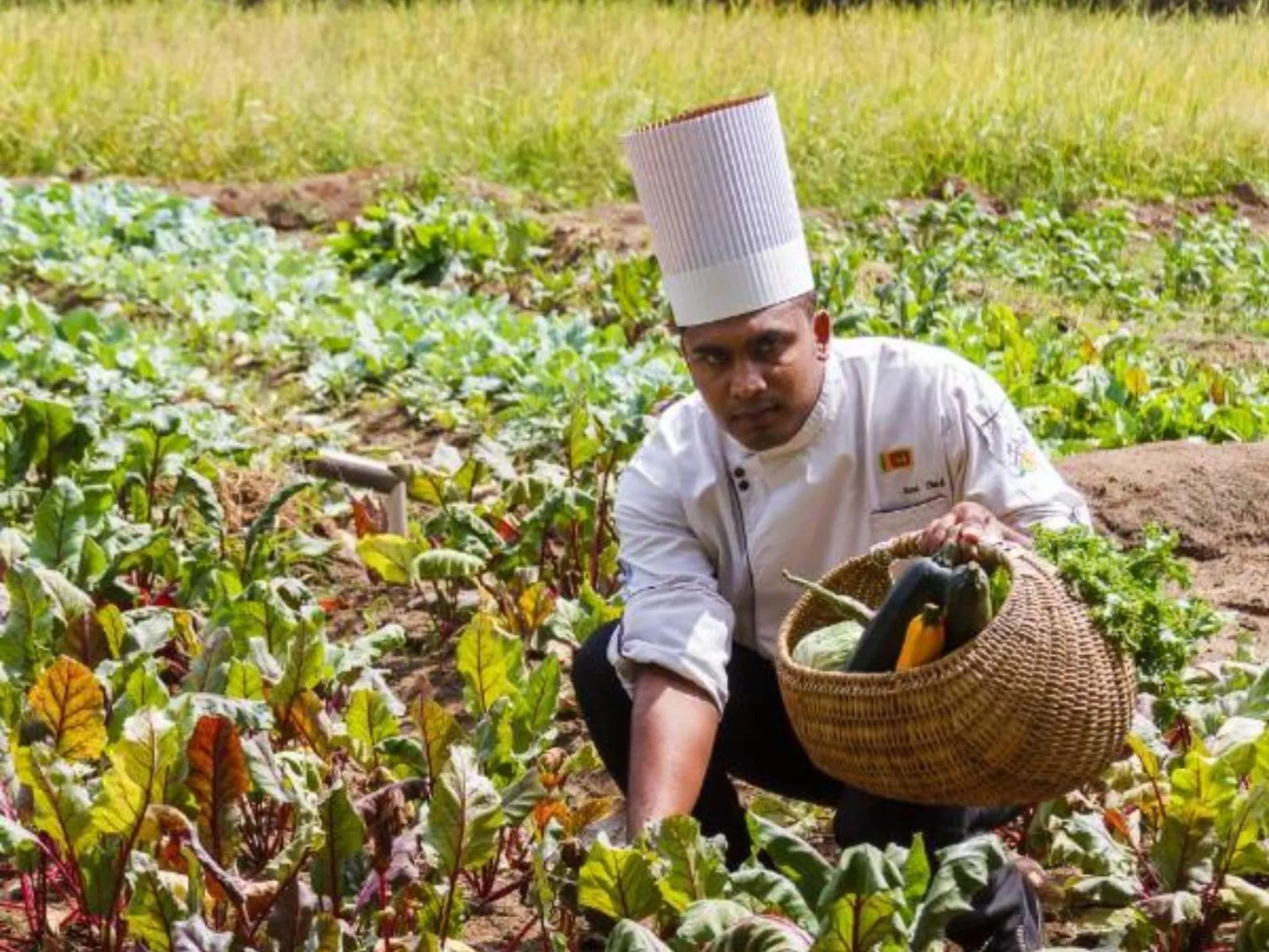 Garden in Sigiriana Resort by Thilanka