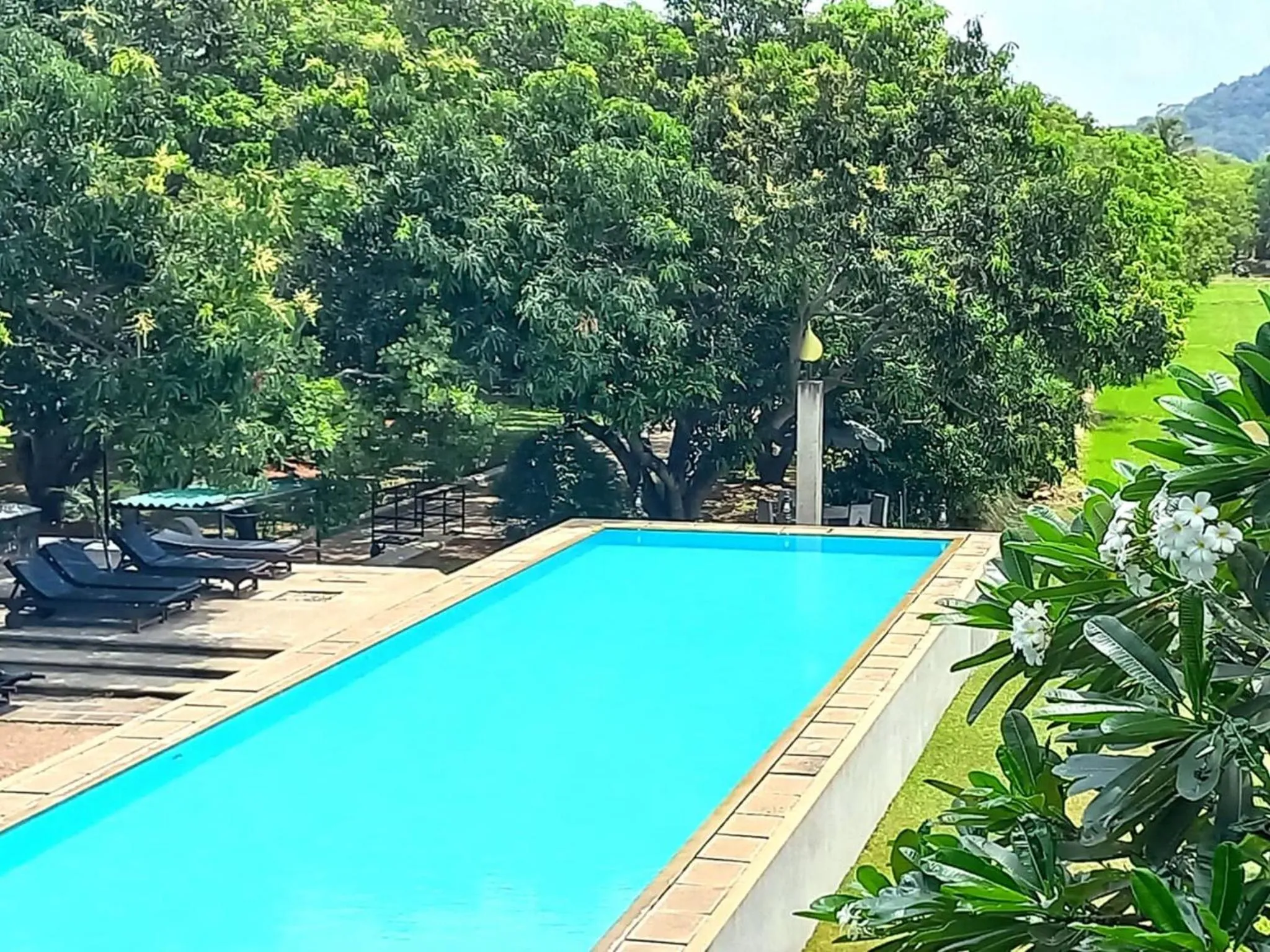 Day in Sigiriana Resort by Thilanka