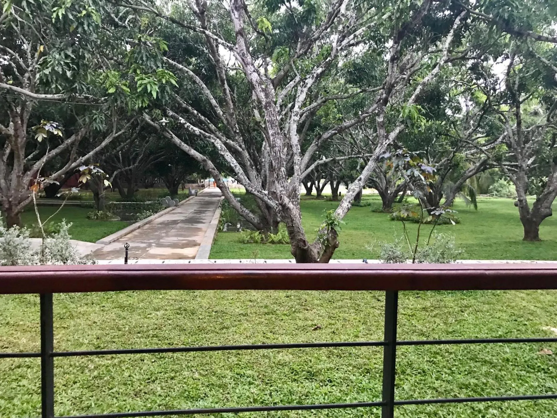 Garden in Sigiriana Resort by Thilanka
