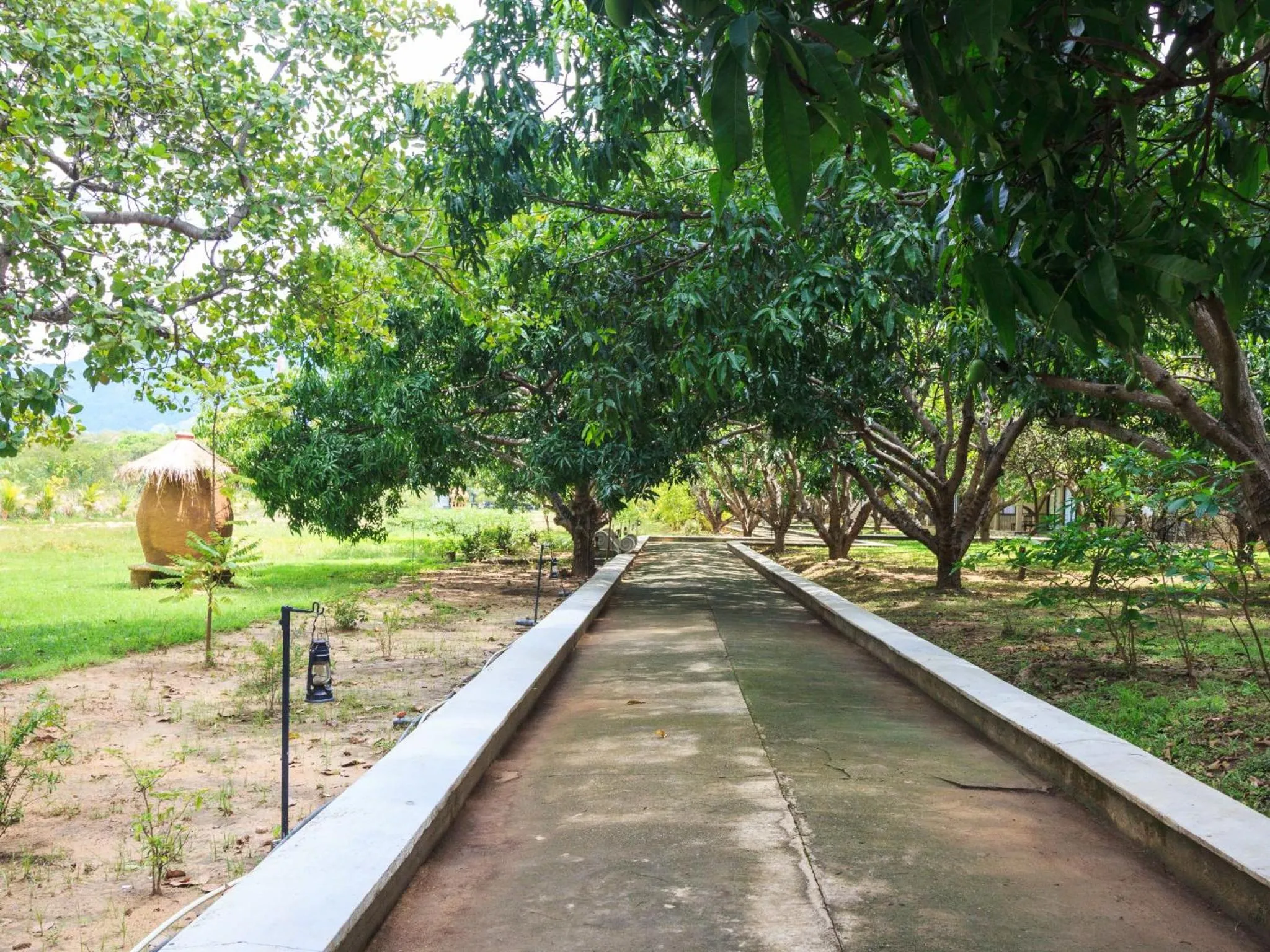Garden in Sigiriana Resort by Thilanka