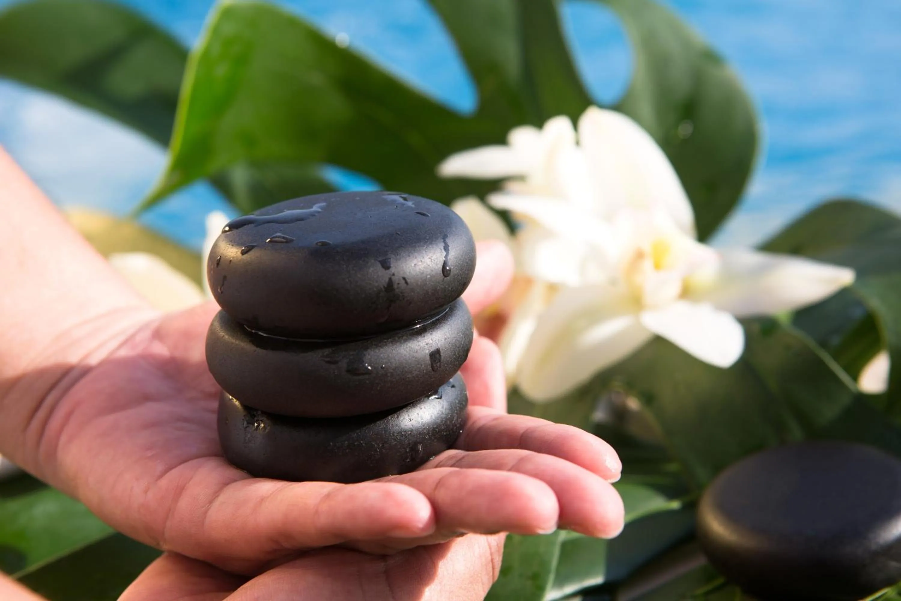 Massage in Movich Hotel Cartagena de Indias