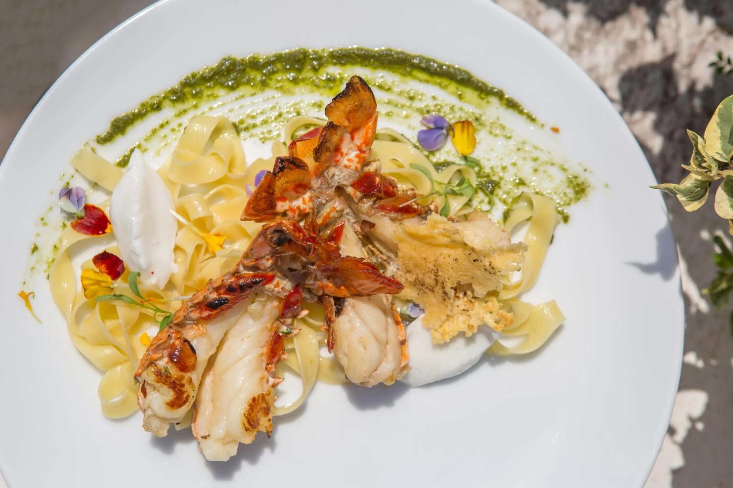 Restaurant/places to eat in Movich Hotel Cartagena de Indias