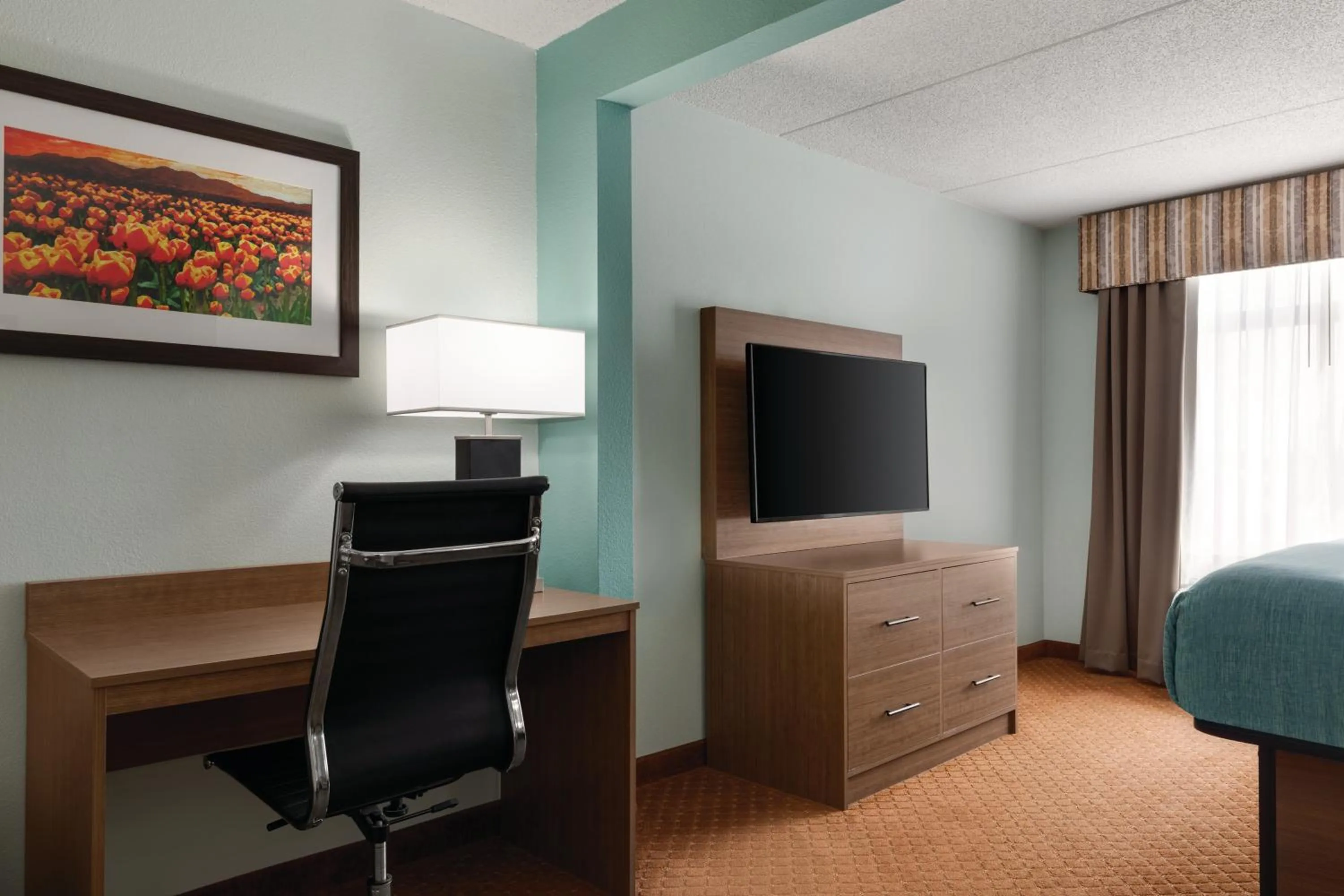 Guests, Bed in Wingate by Wyndham Louisville East