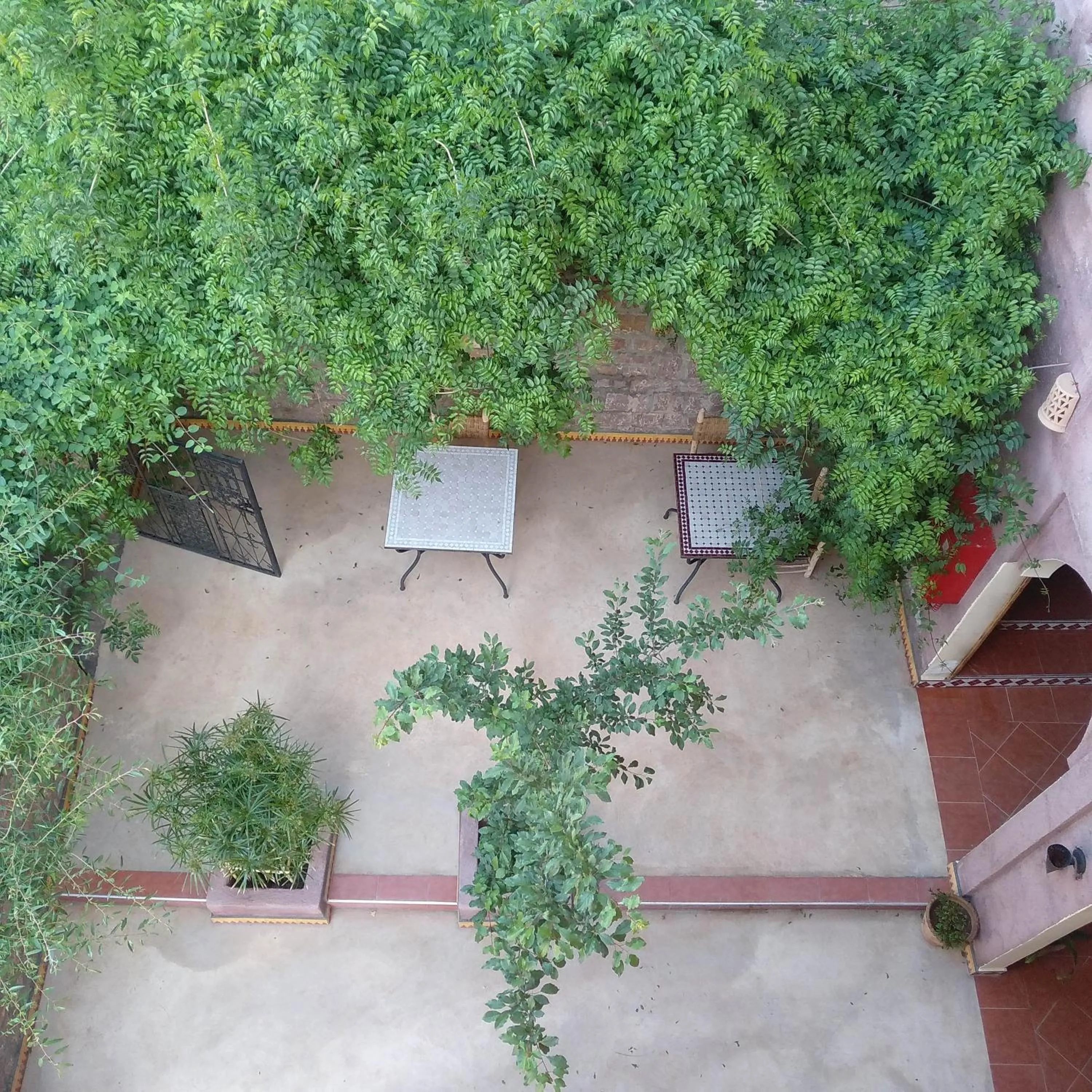 Garden view in Chambre d'hôtes aya