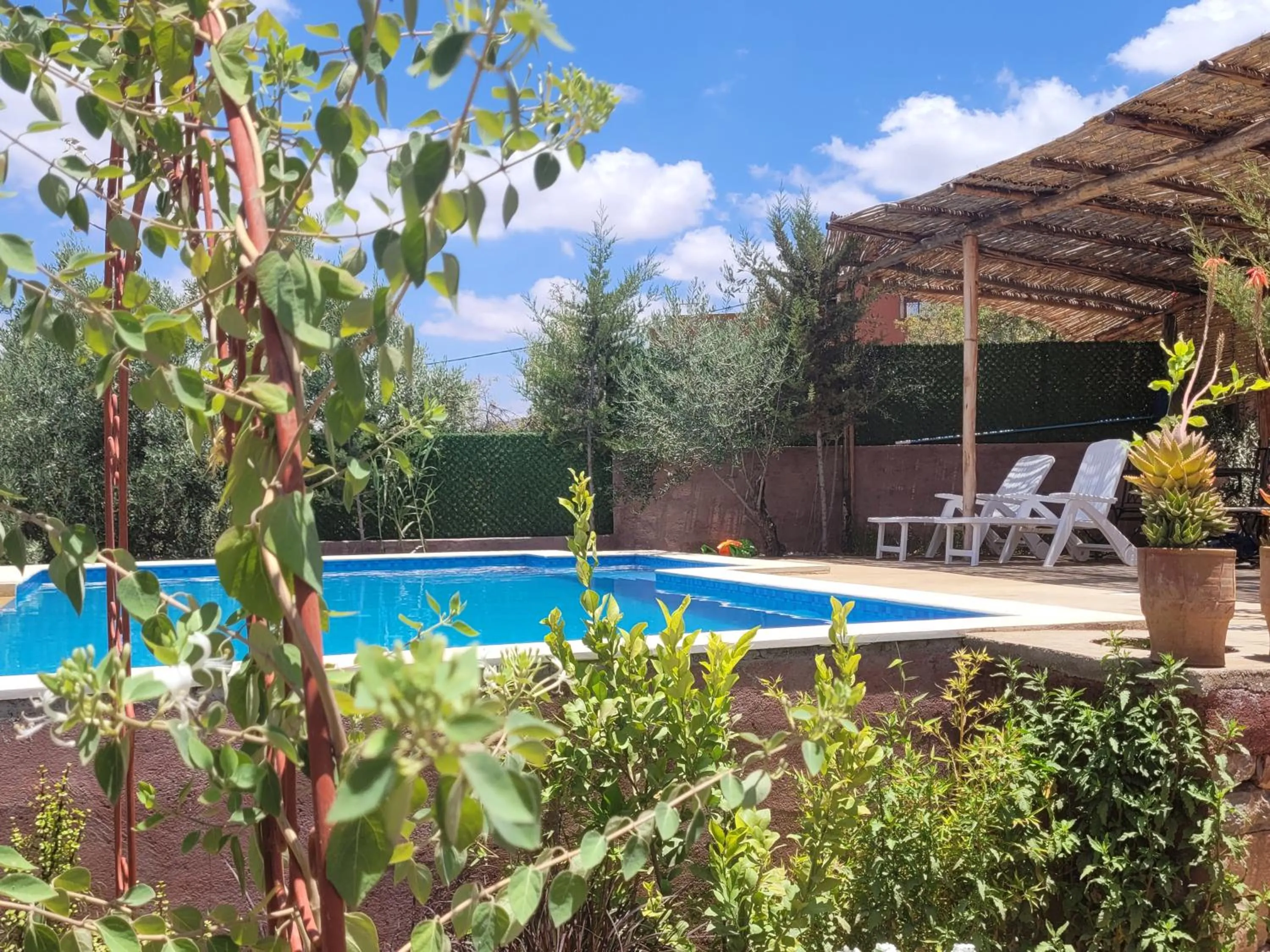Swimming pool in Chambre d'hôtes aya