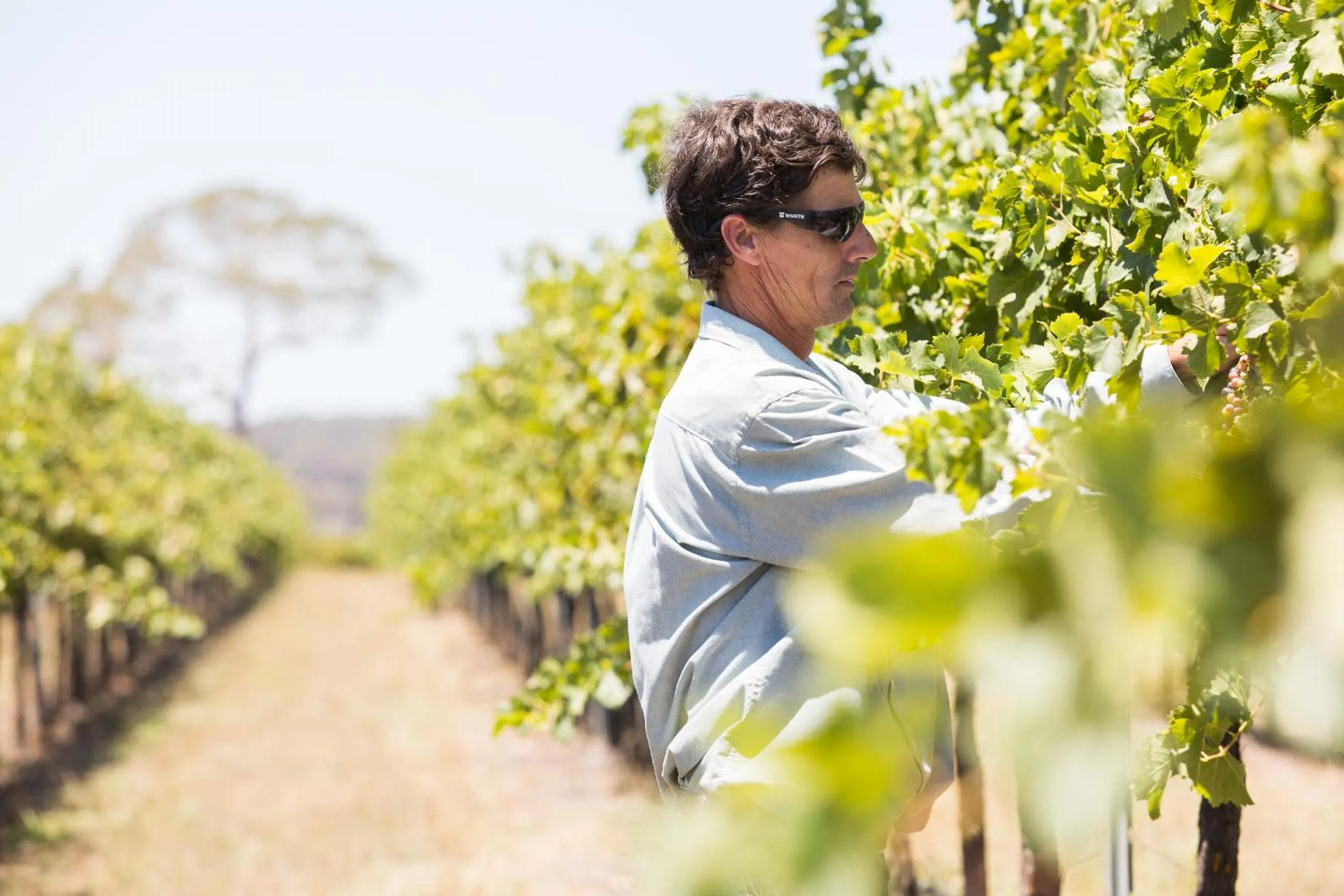 Staff in Petersons Armidale Winery and Guesthouse