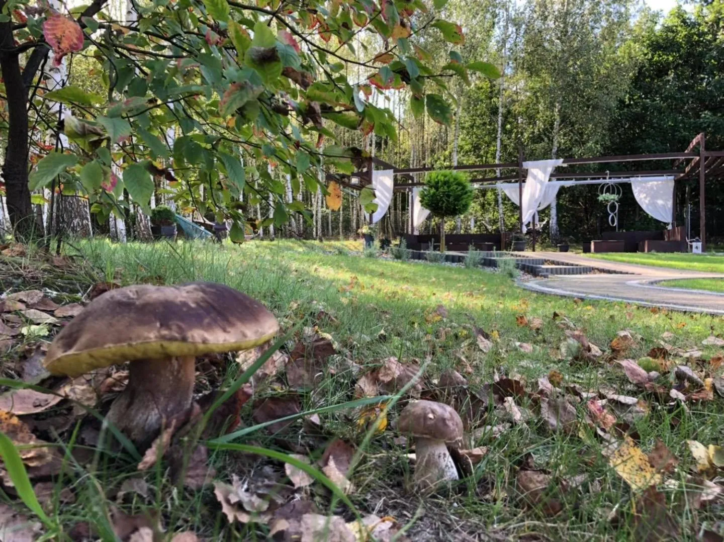 Gościniec Pod Lasem