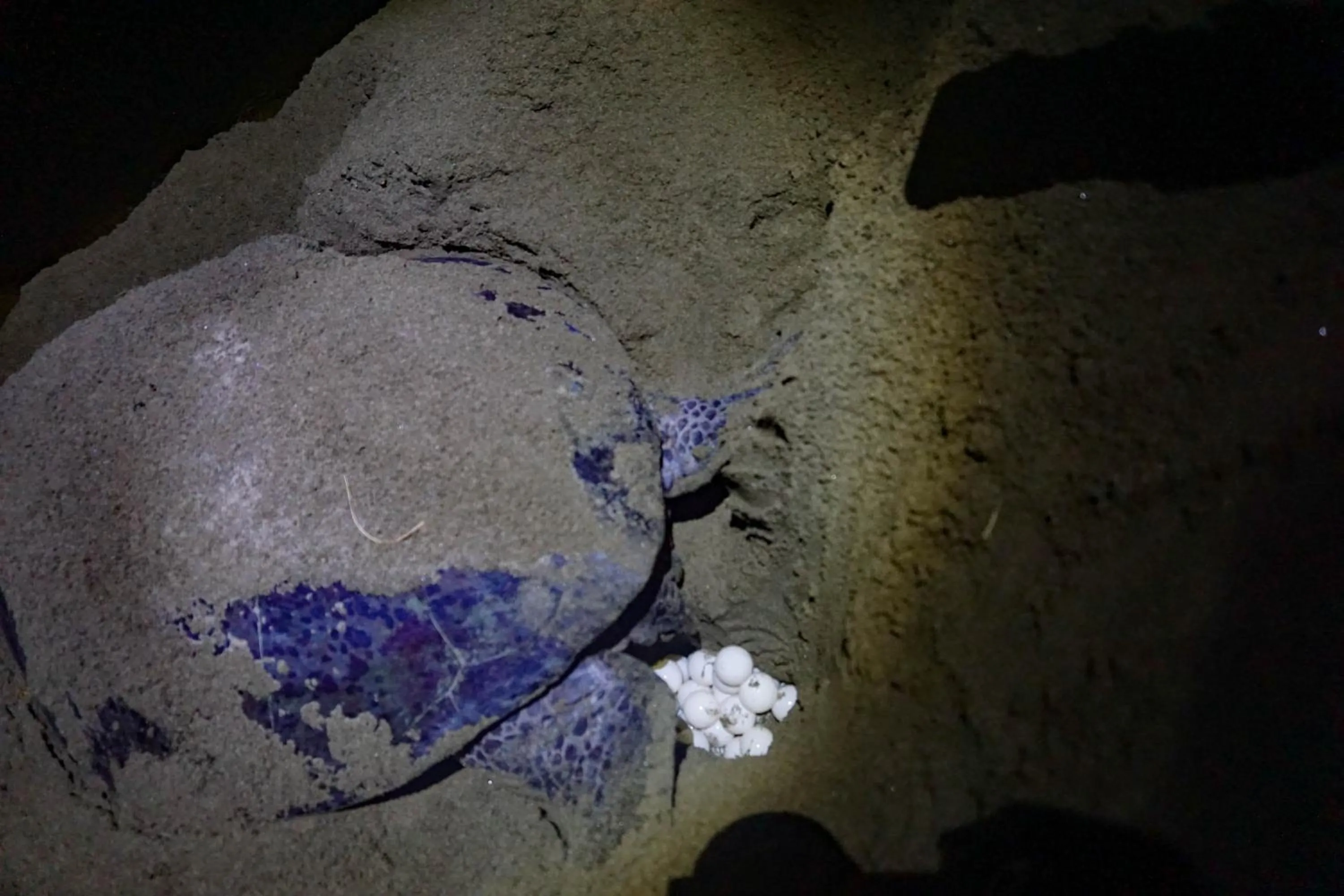 Activities in Wisma Pulau Merah