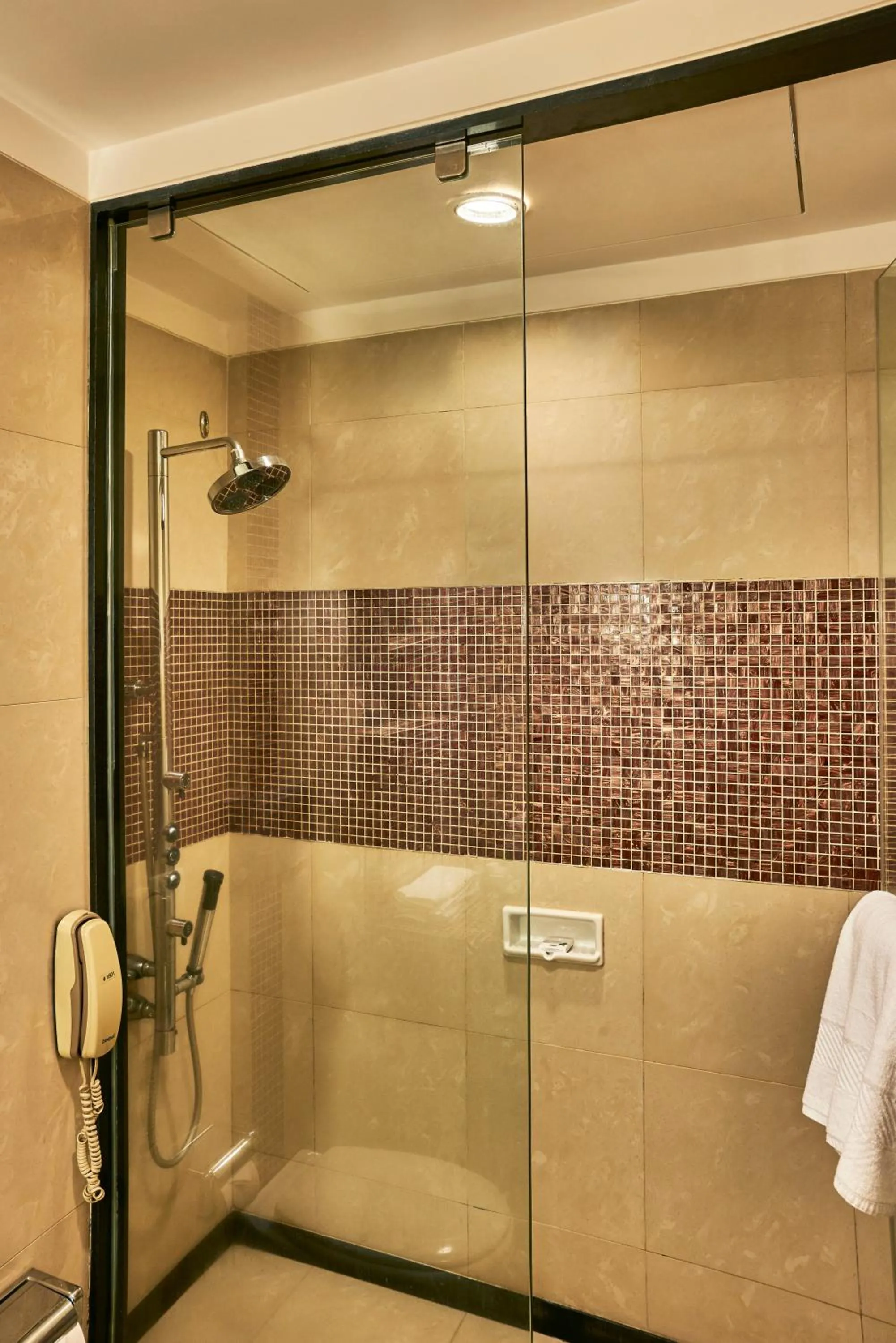 Krishna Palace Hotel