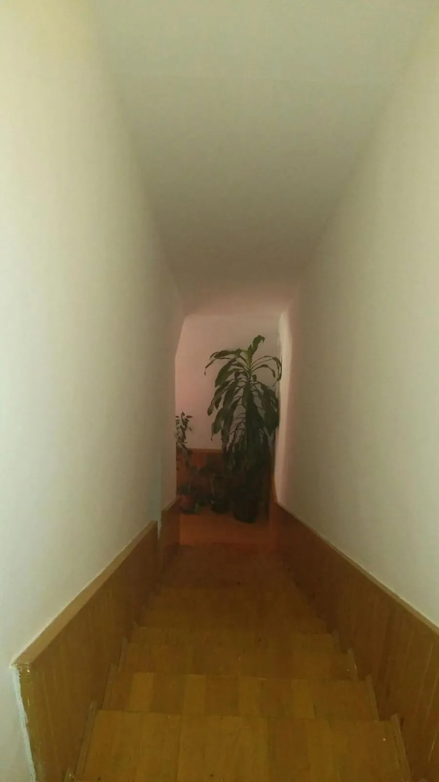 Apartman Ela