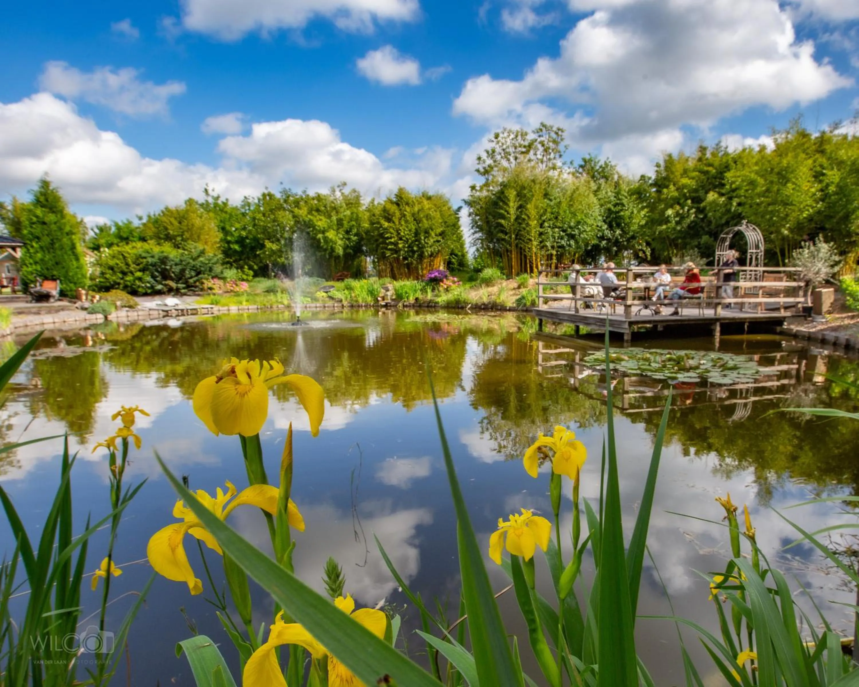 Natural landscape in Romala's Home