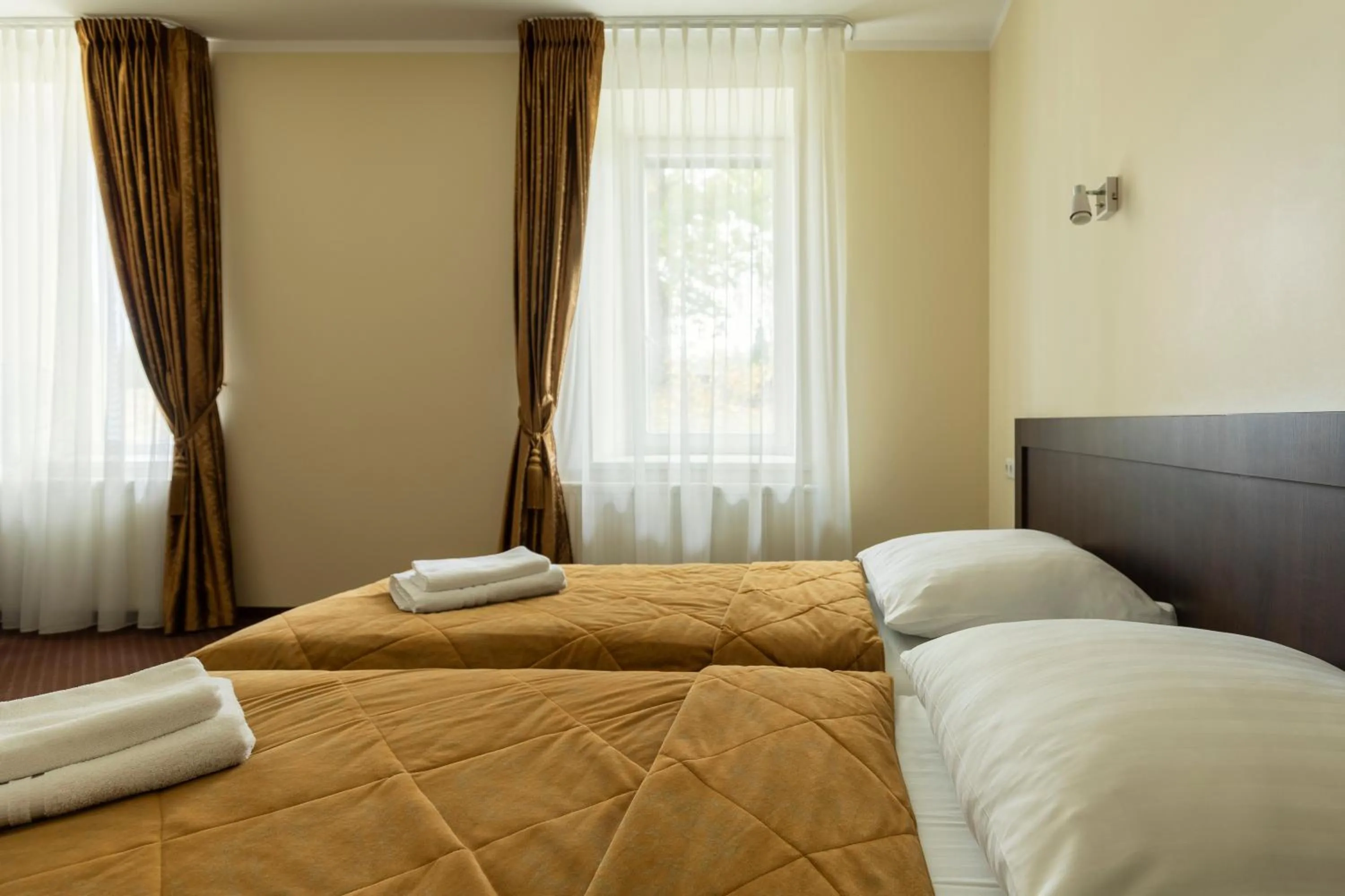 Standard Twin Room - single occupancy in Domus Hotel
