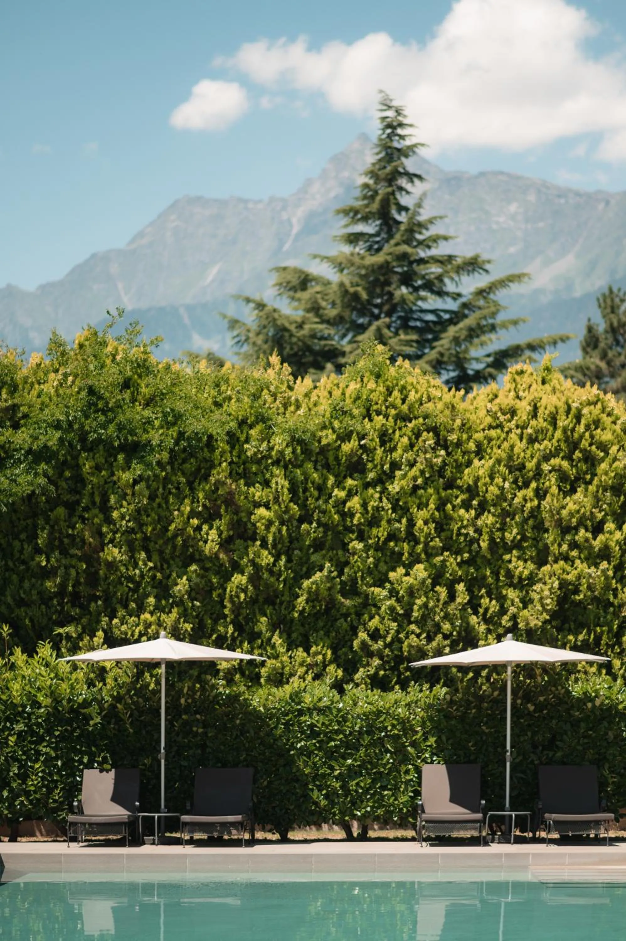 Garden in Hotel Pollinger