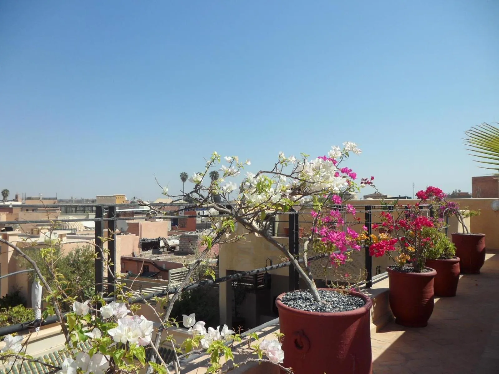 Property building in Riad et Spa Misria Les Orangers