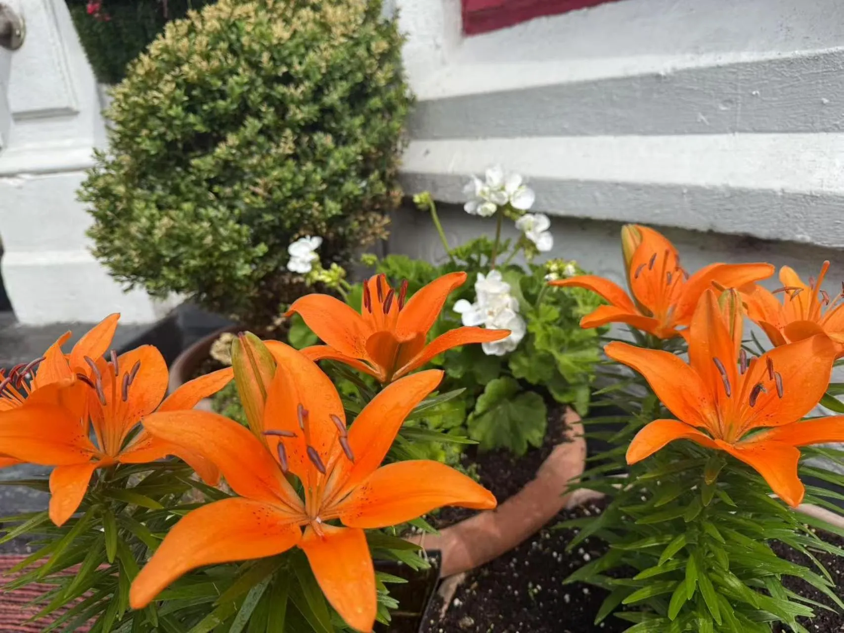 Property building in The Aberford