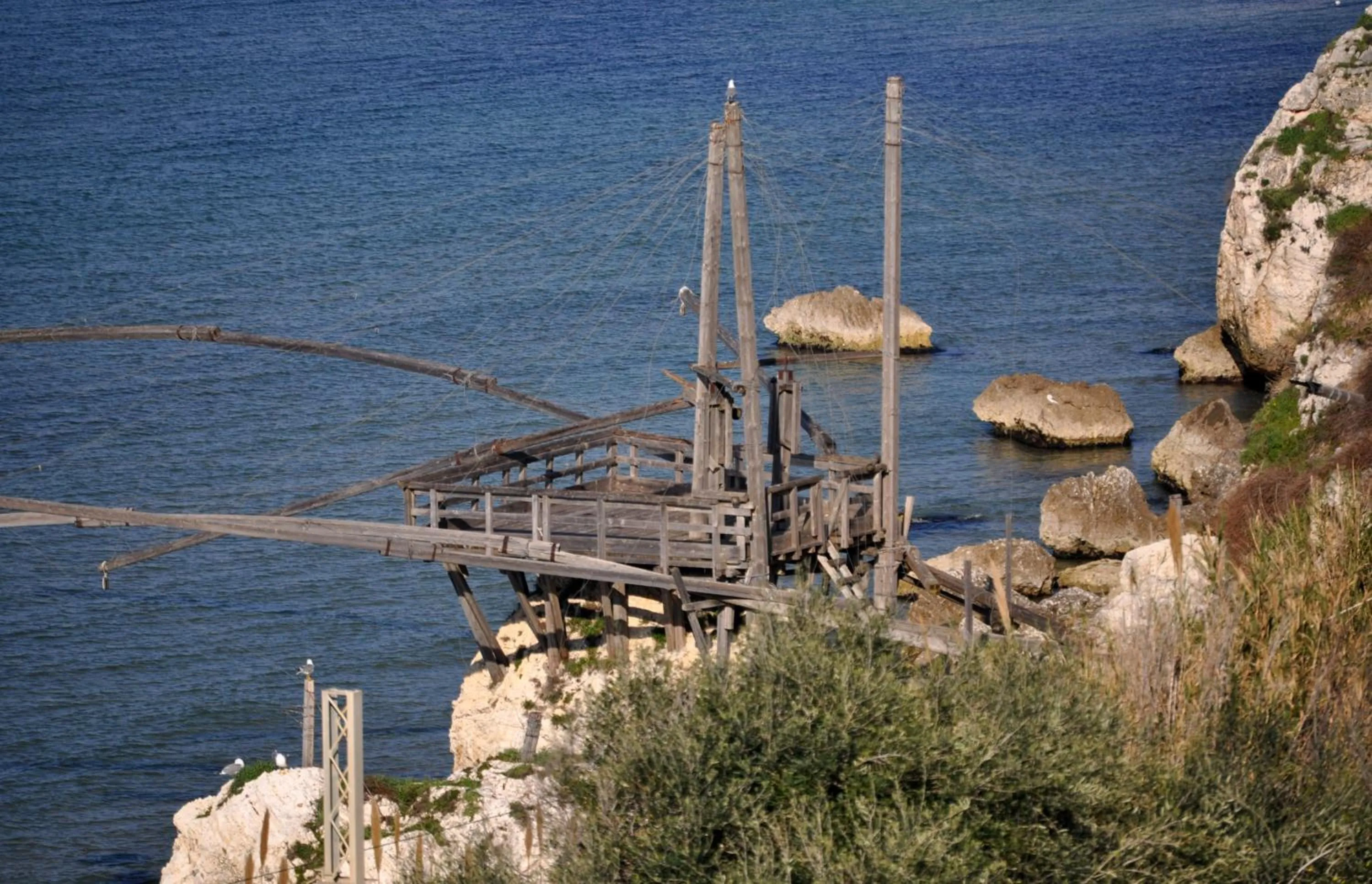 Natural landscape in Hotel Solaria