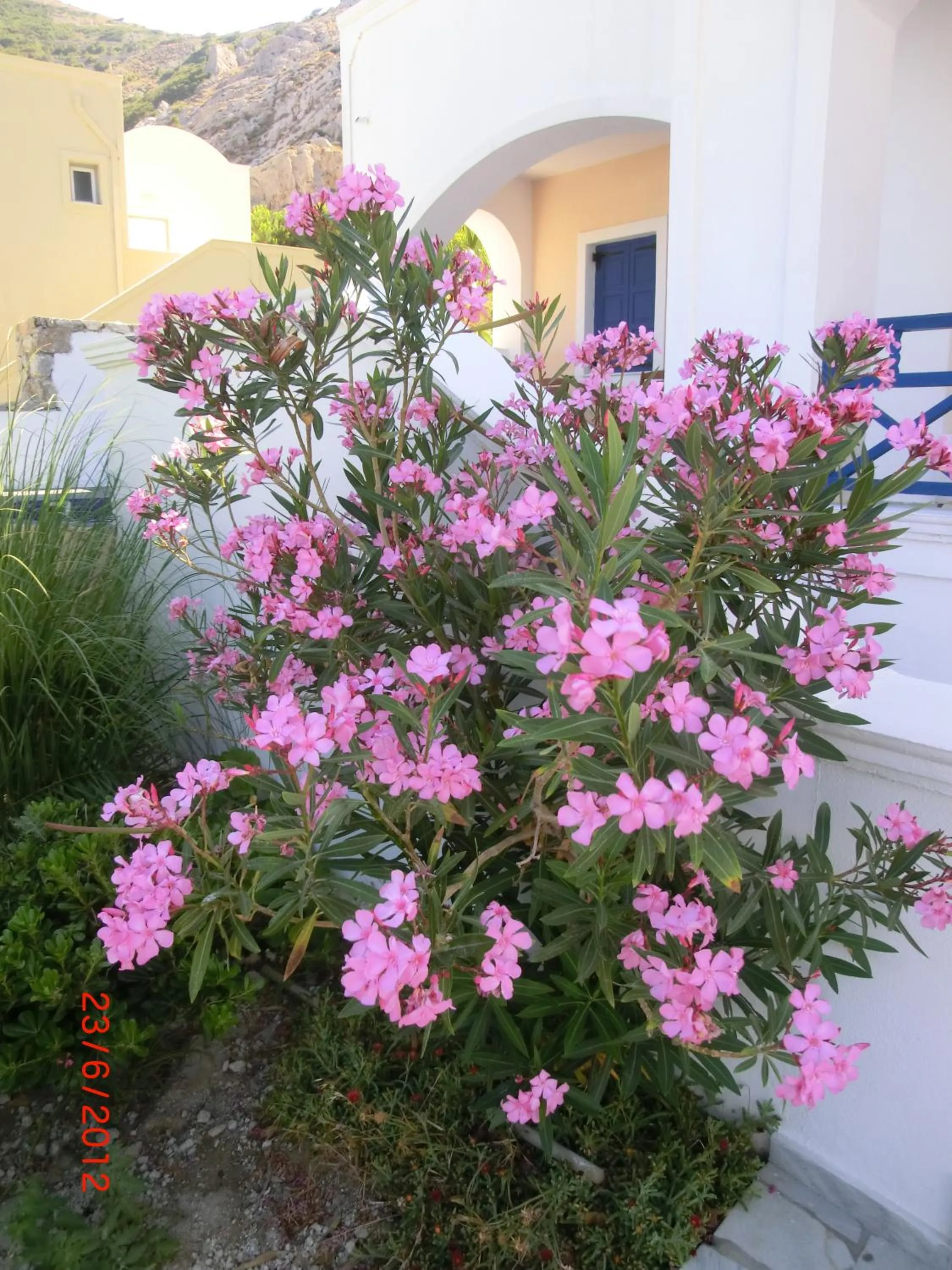 Other in Aegean View Hotel