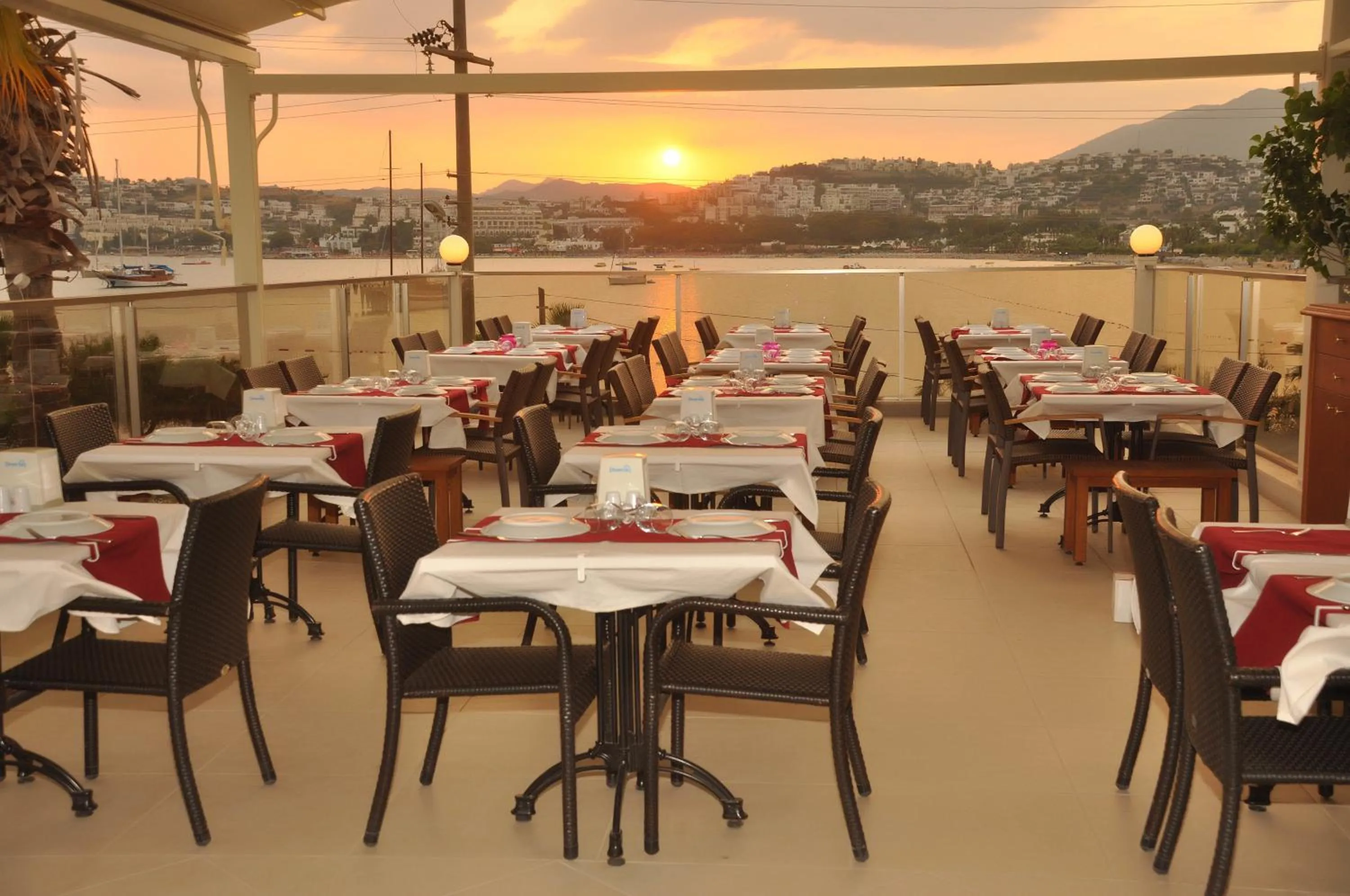 Restaurant/places to eat in Tropicana Beach