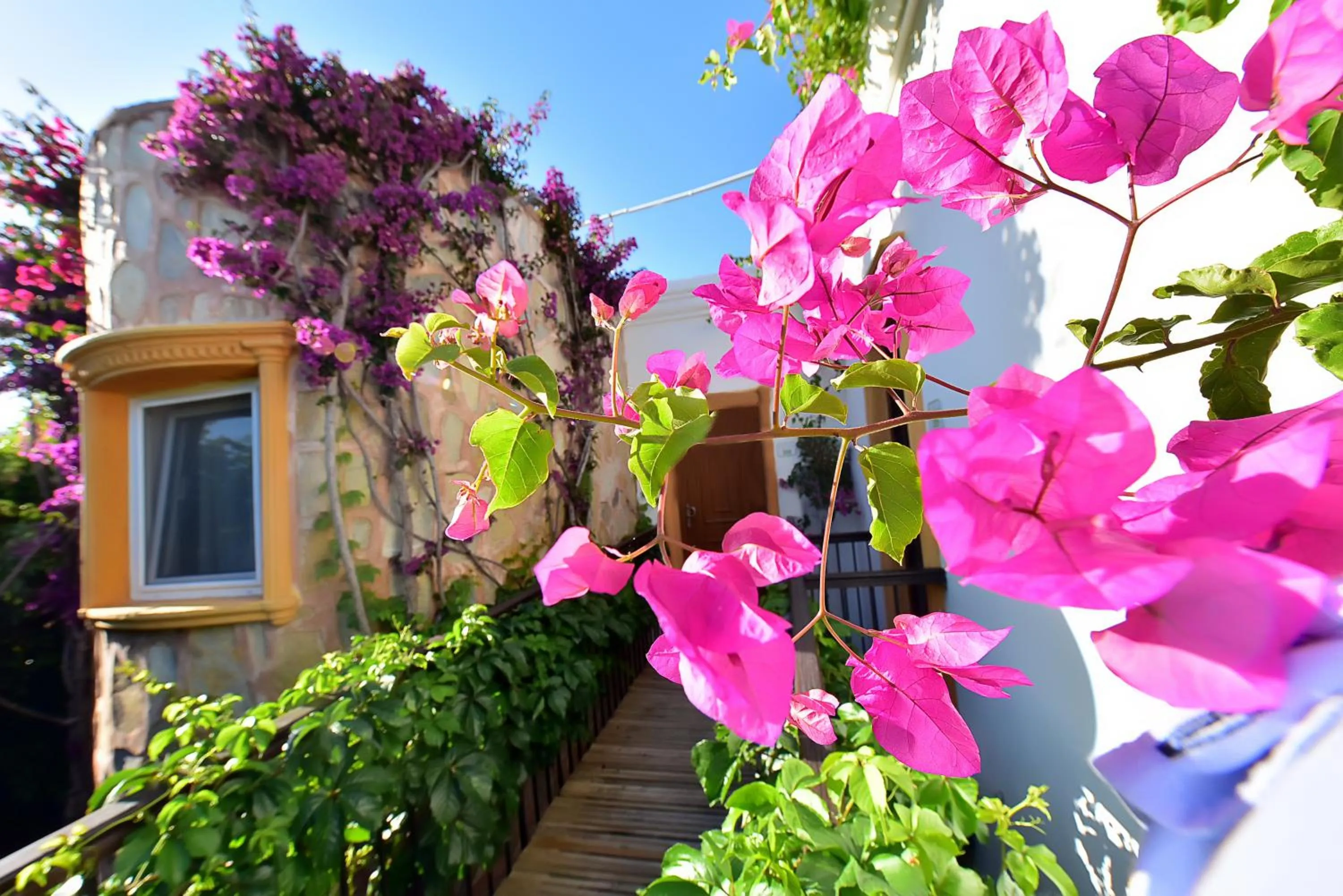 Property building in Tropicana Beach