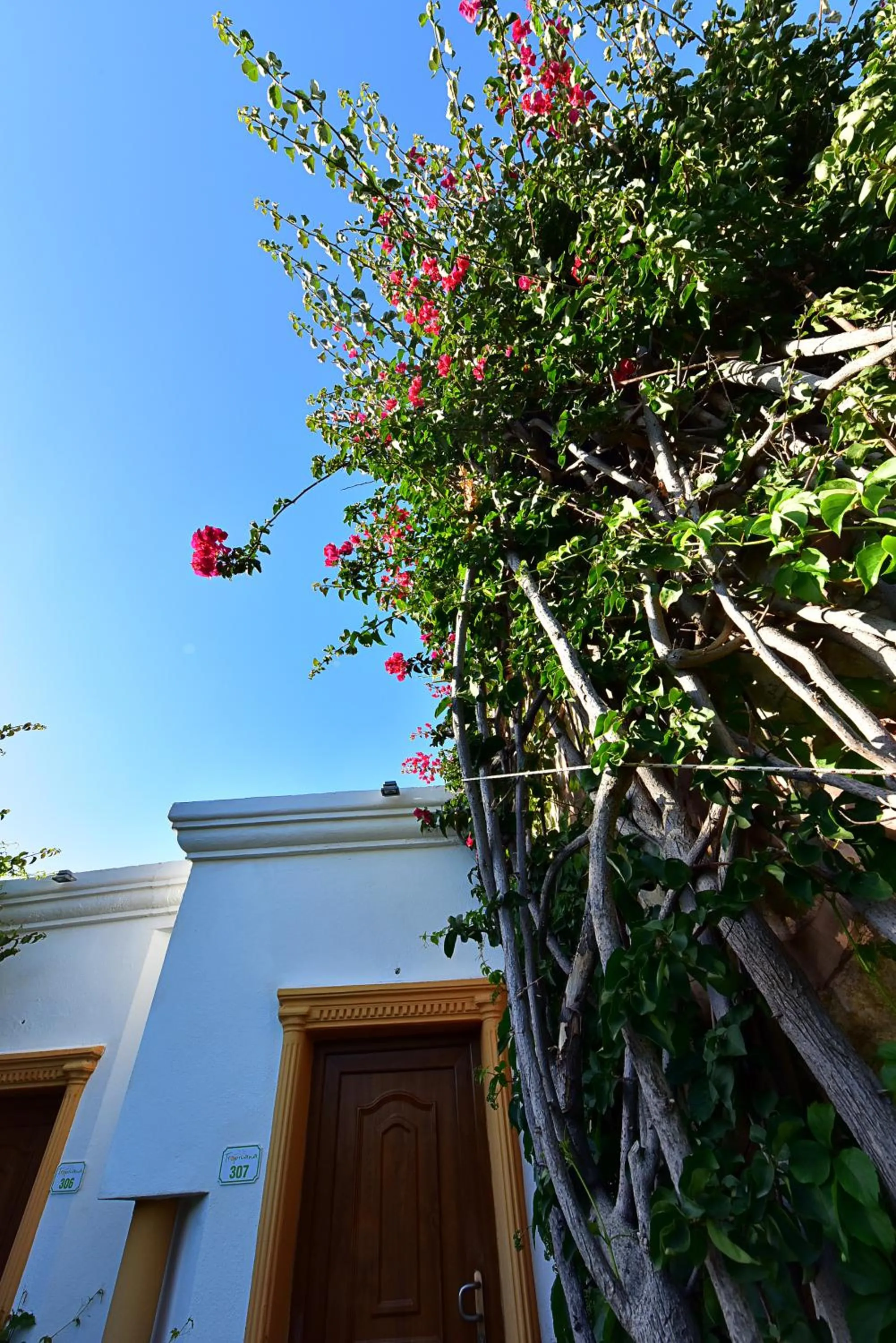 Property building in Tropicana Beach