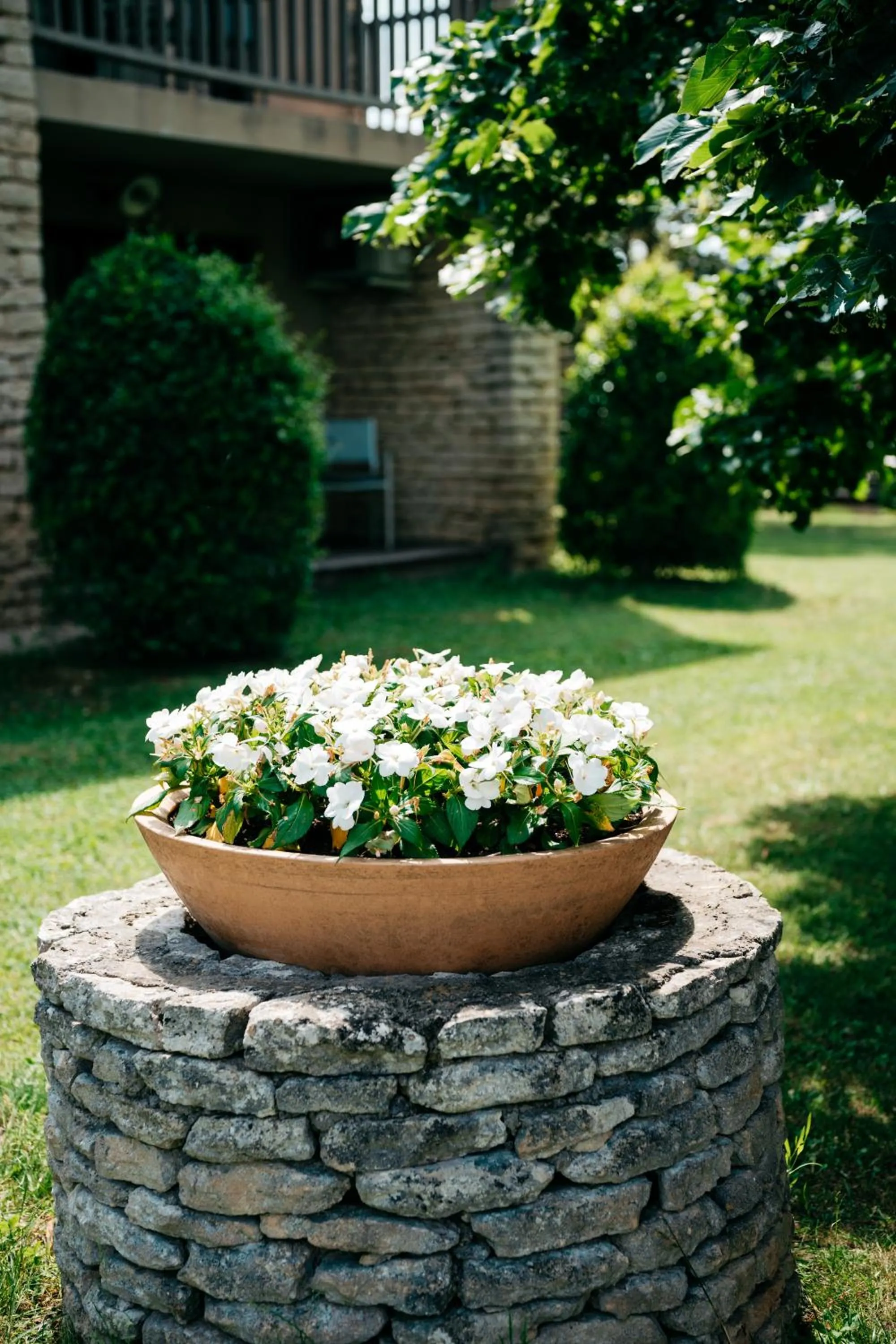 Garden in Hôtel Carcarille Restaurant Le C