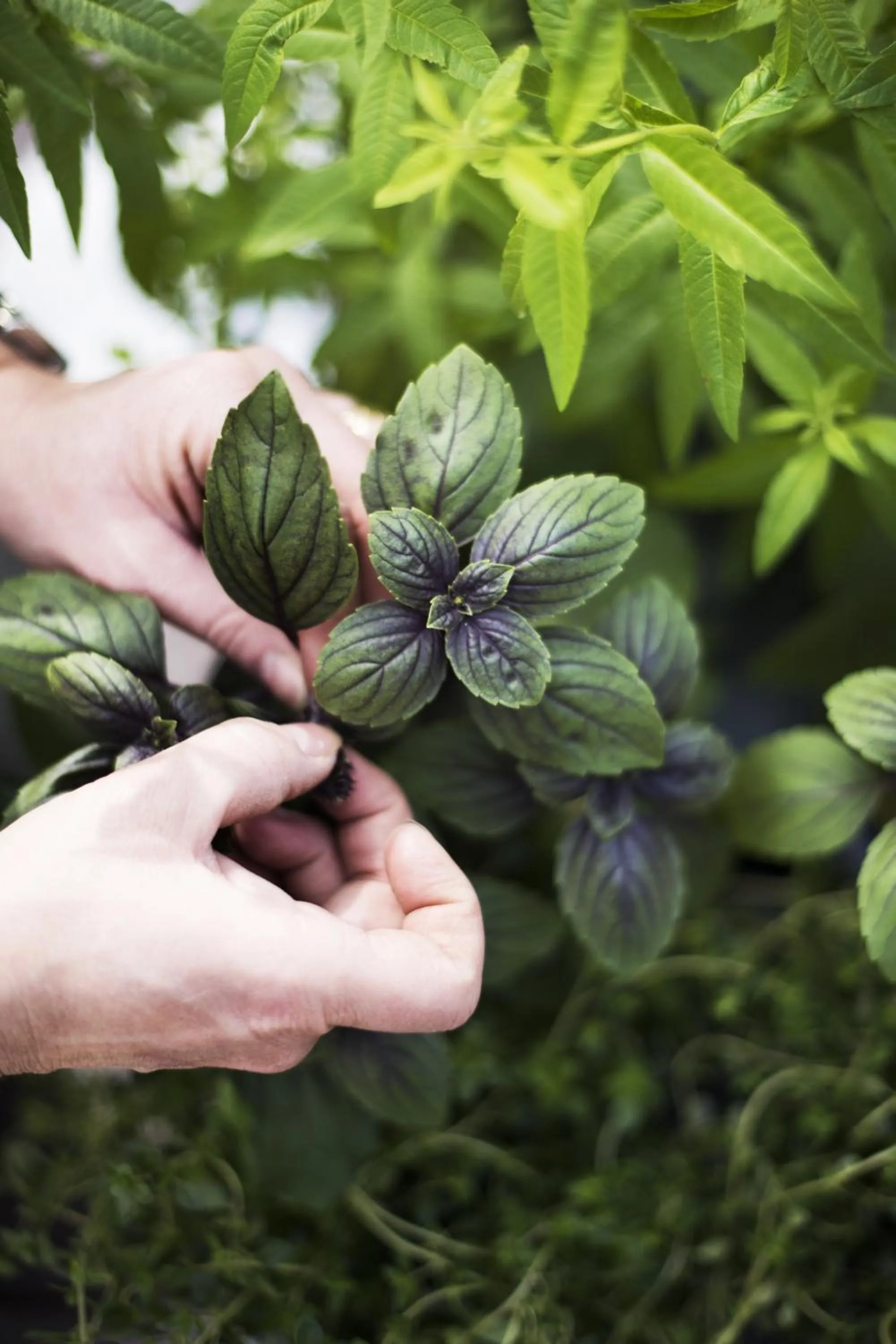 Decorative detail in Toftastrand Hotell