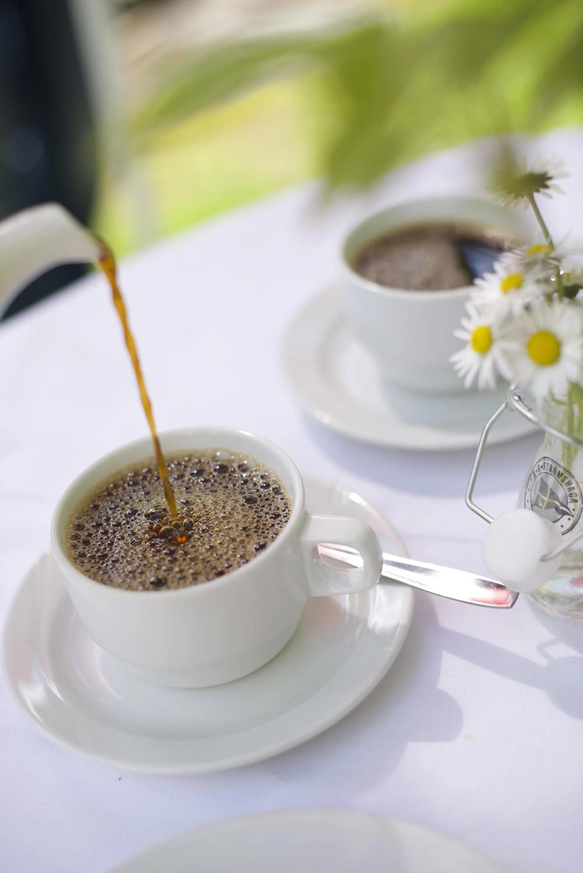 Drinks in Toftastrand Hotell