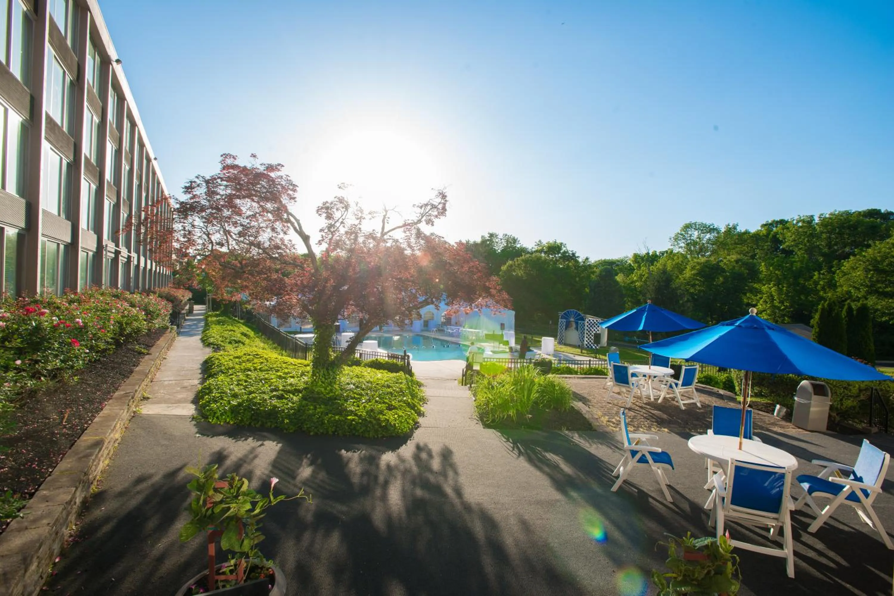 Swimming pool in Chester Hotel and Conference Center
