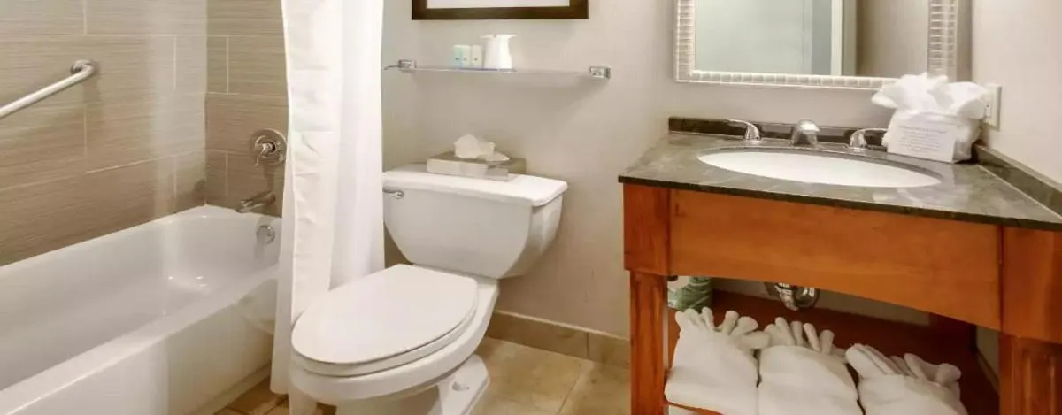 Bathroom in Chester Hotel and Conference Center