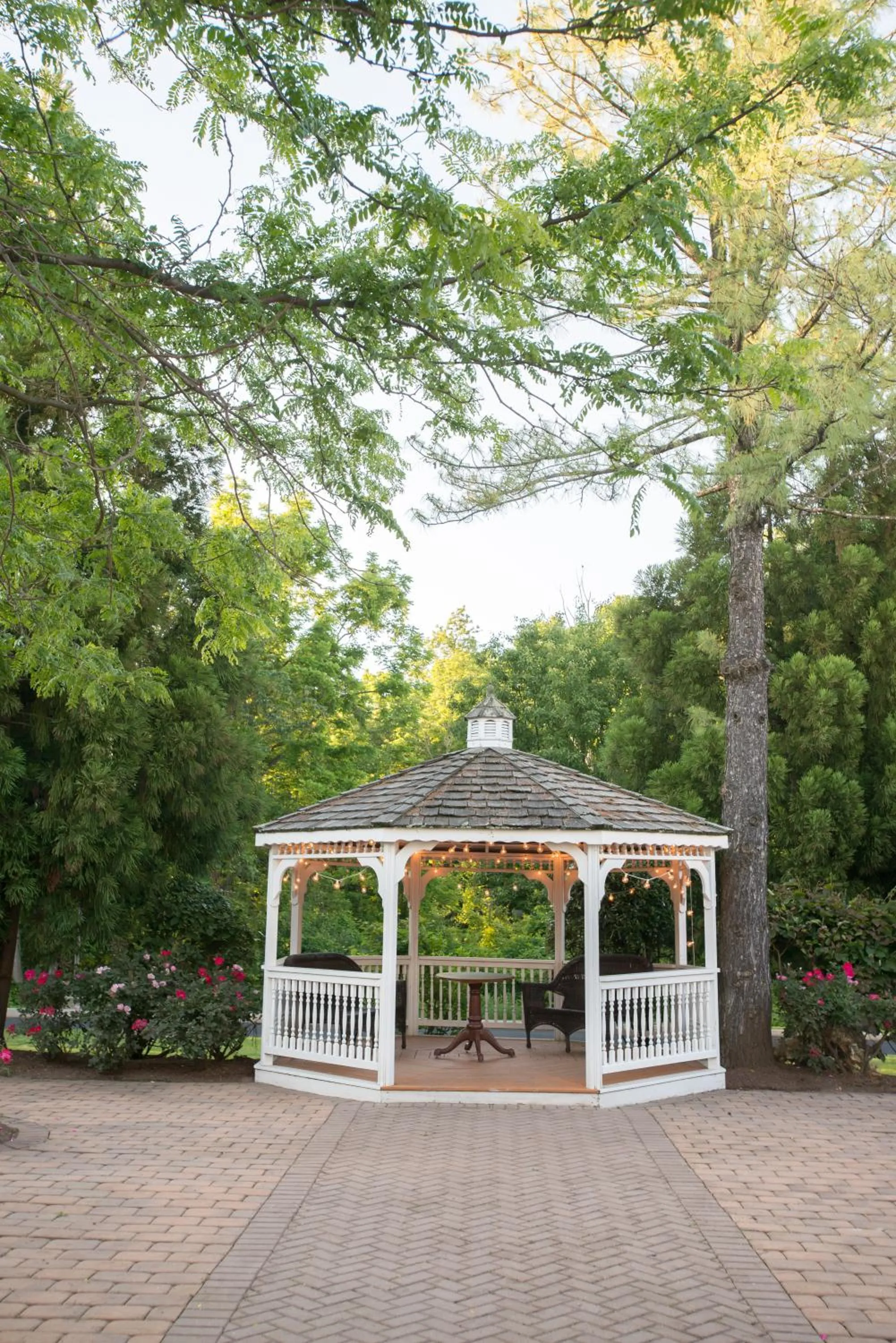 Patio in Chester Hotel and Conference Center
