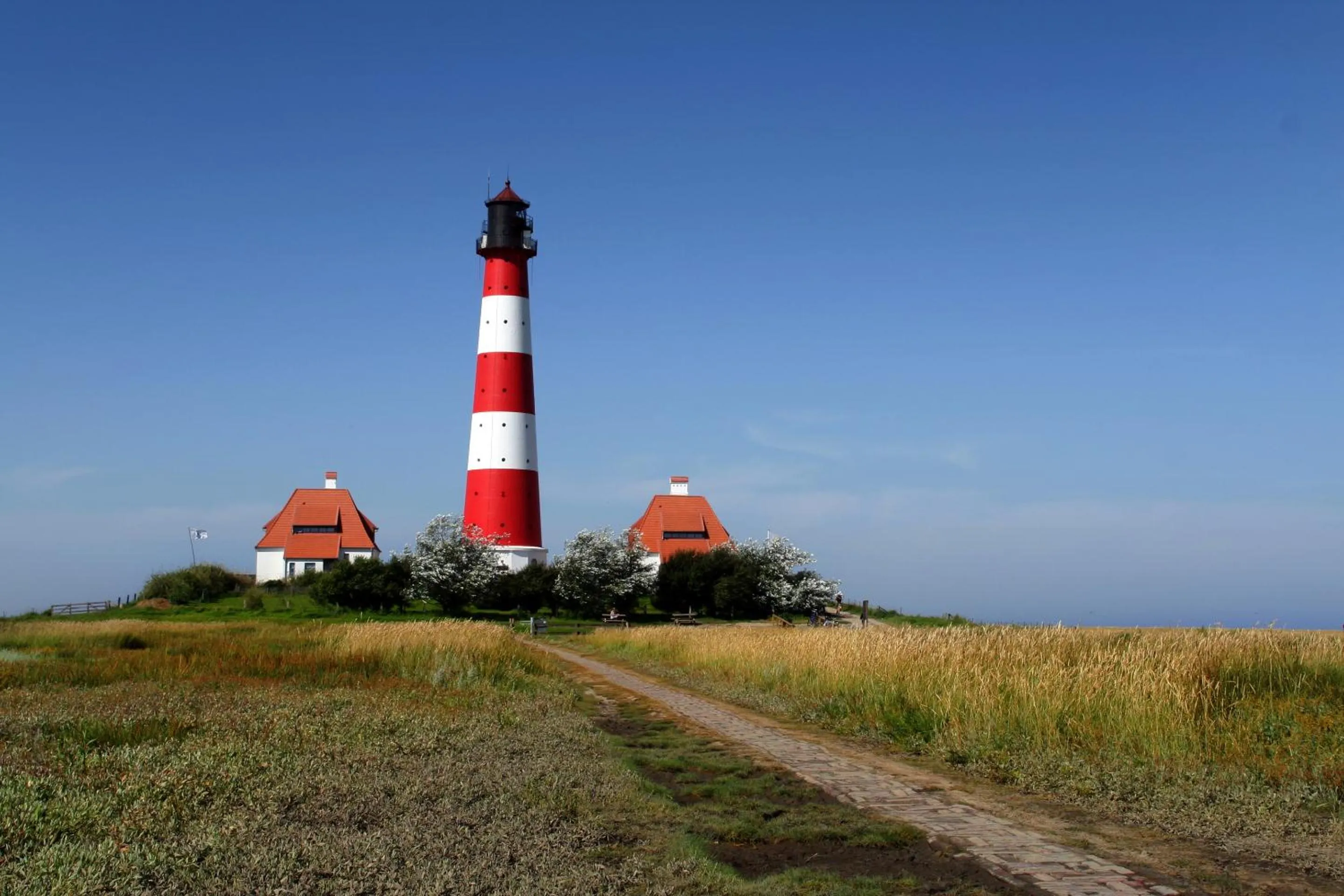 Activities in Hotel Goos