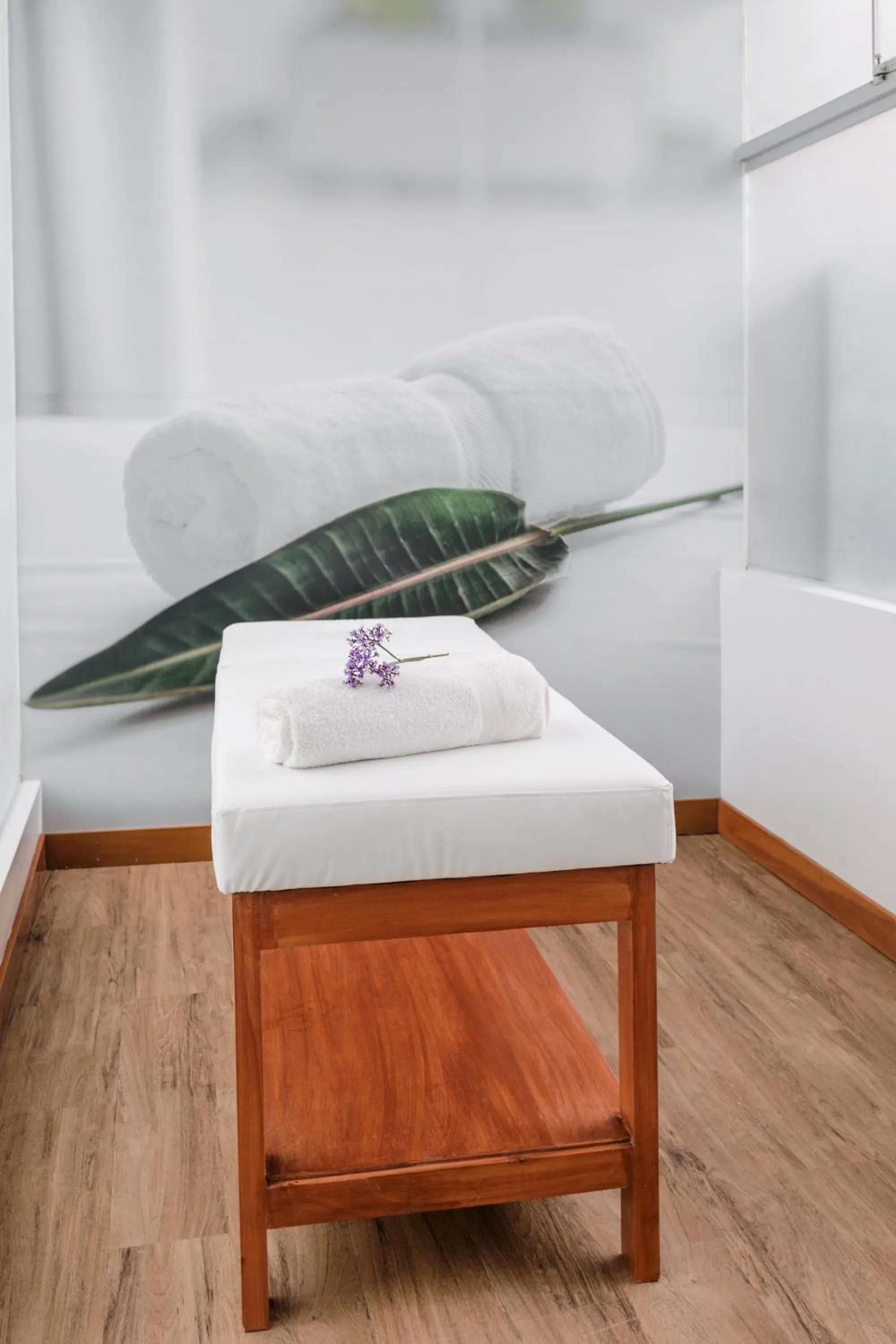 Spa and wellness centre/facilities in Costa del Sol Trujillo Centro