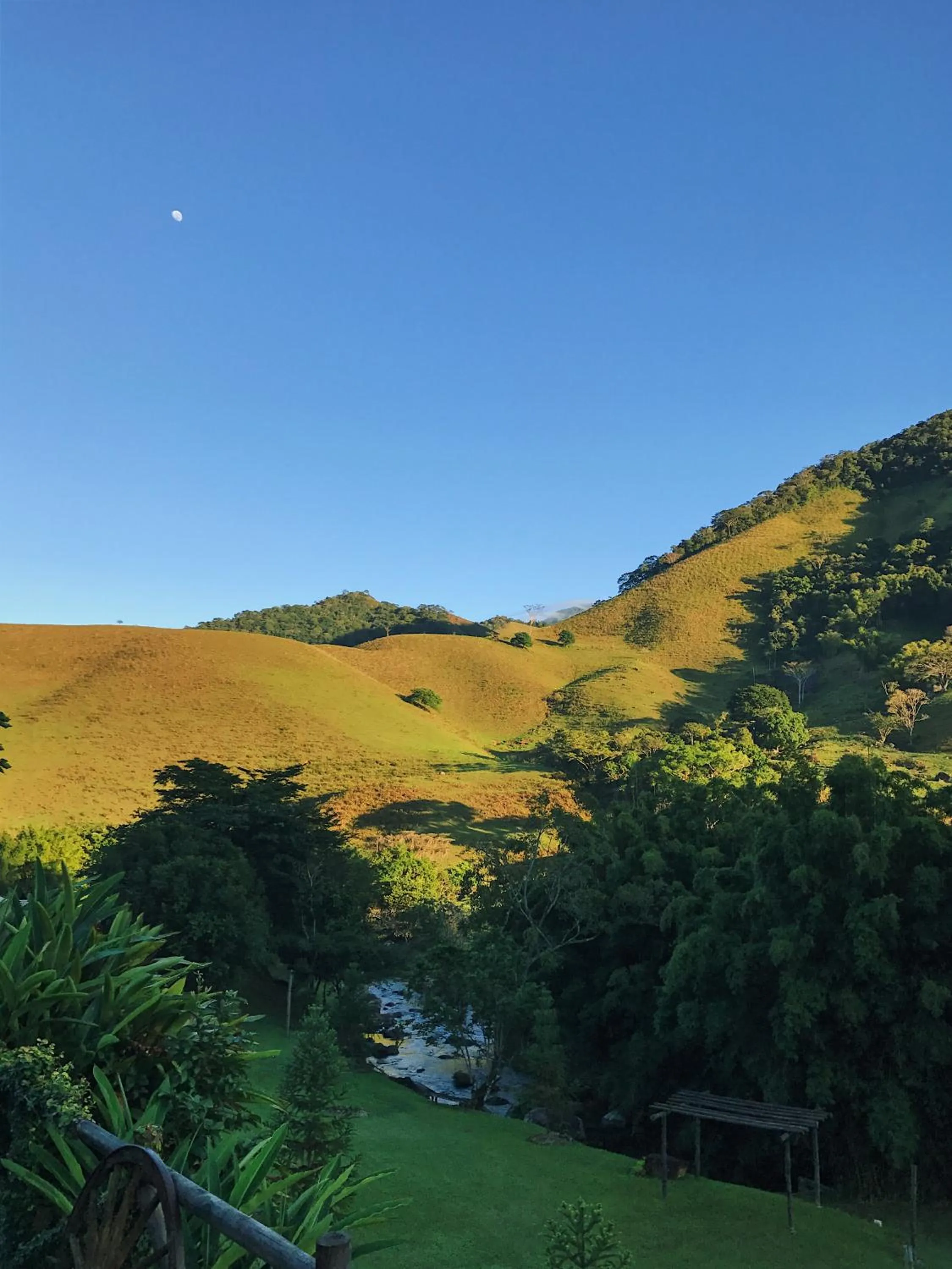Natural landscape in Hotel Pousada Bambuzal