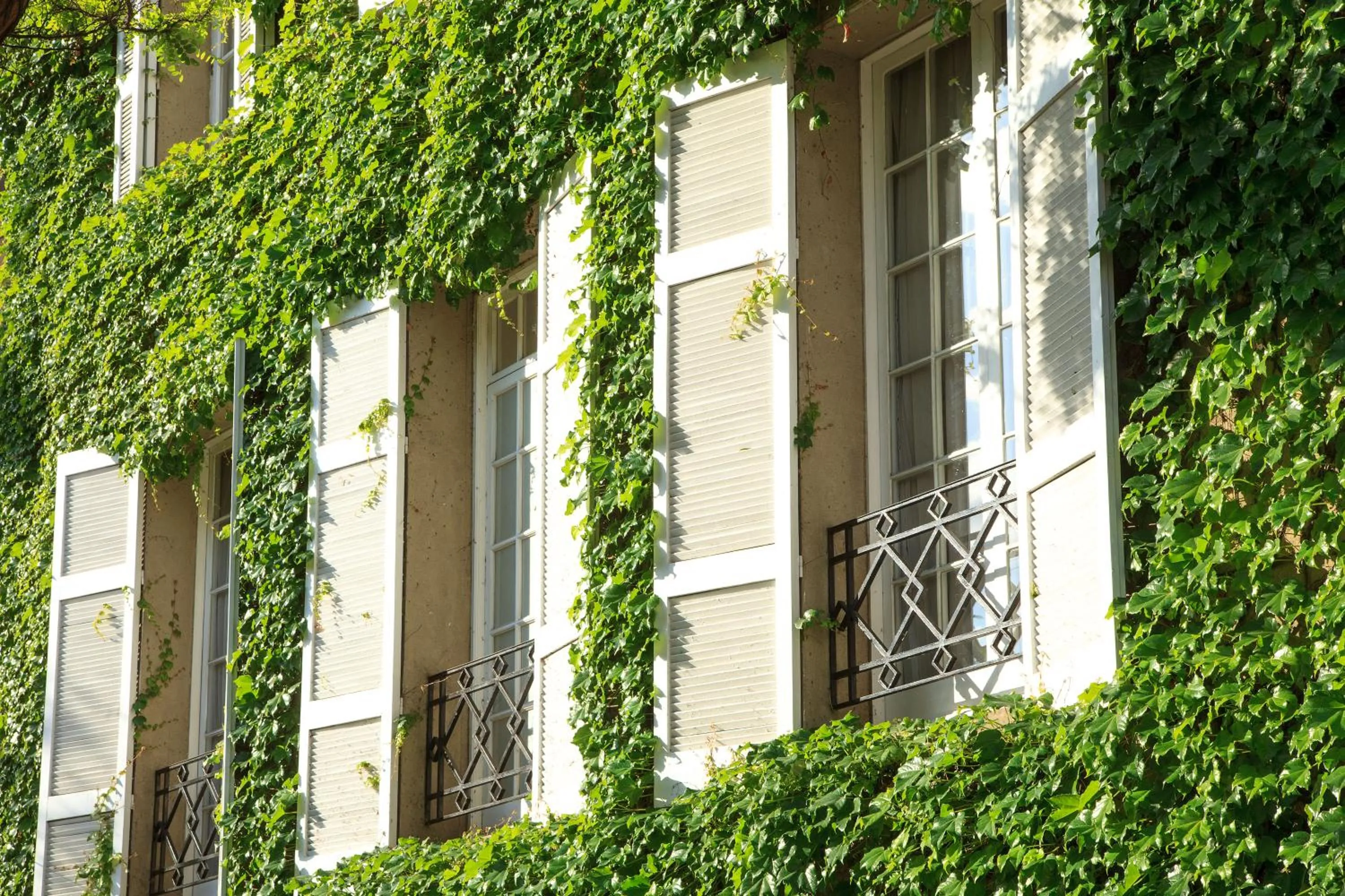 Facade/entrance in Hotel Boutique Le Reve