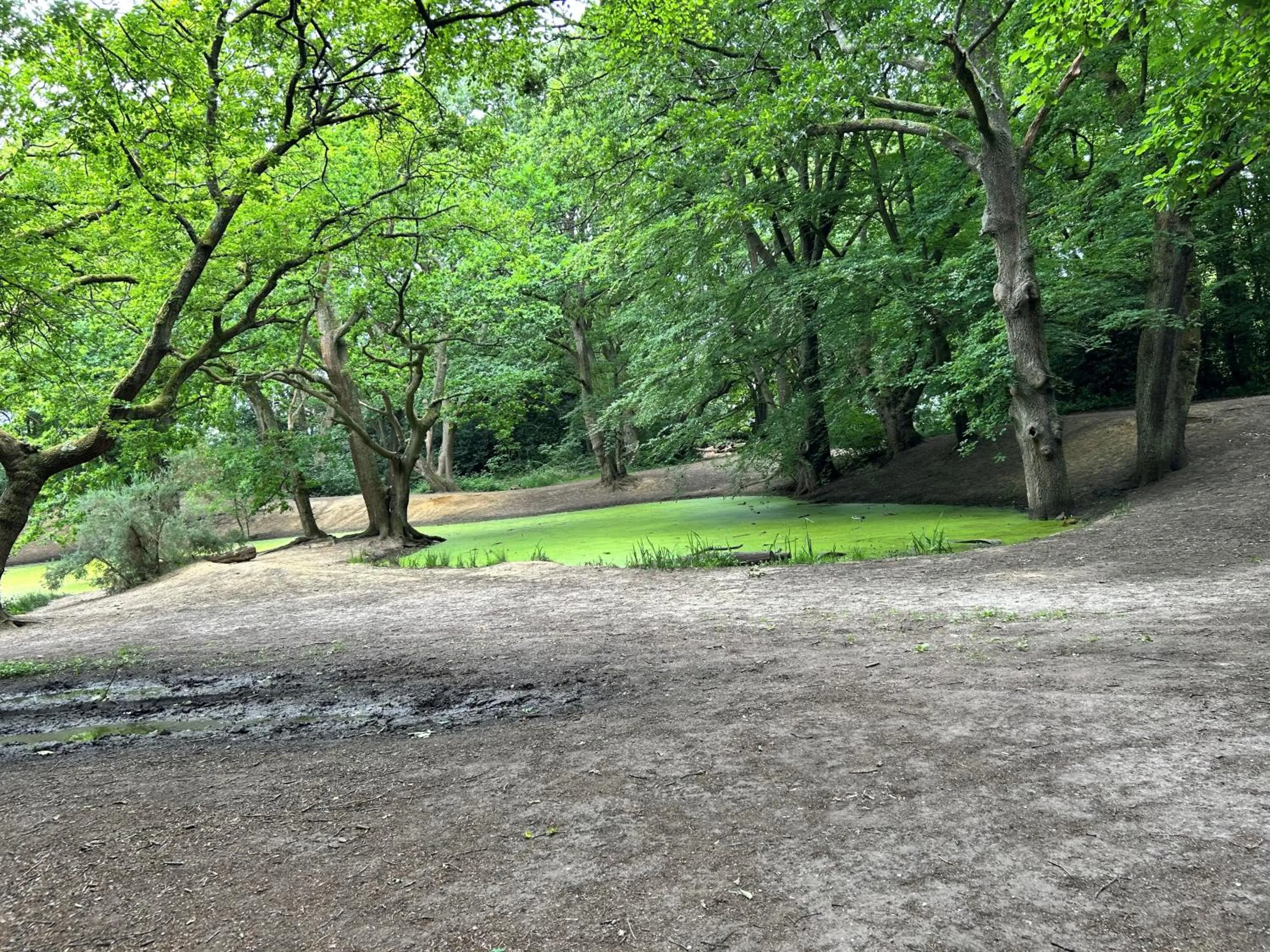 Spring in La Gaffe - Bed and Breakfast