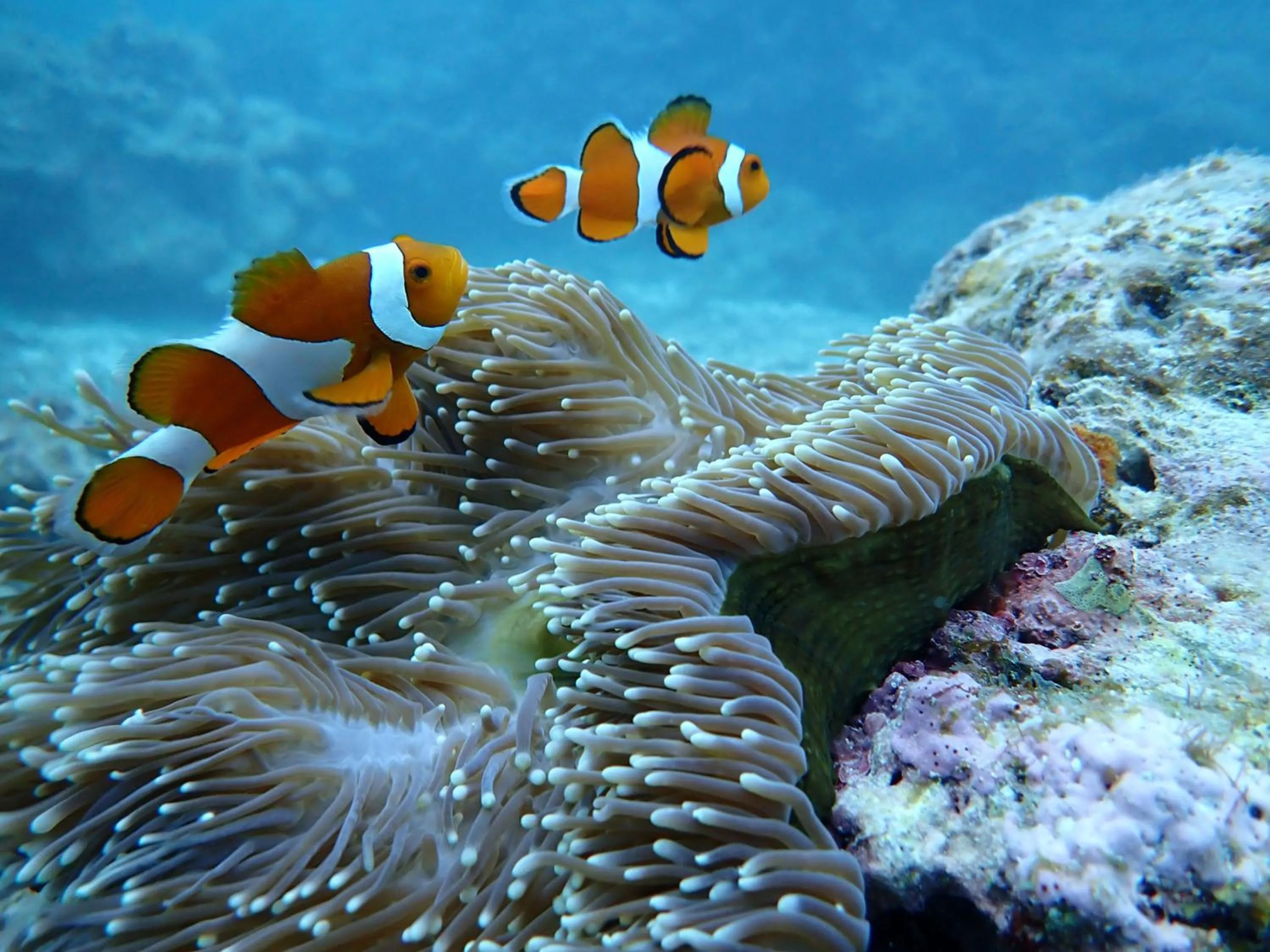 Nearby landmark in Guesthouse Asibina