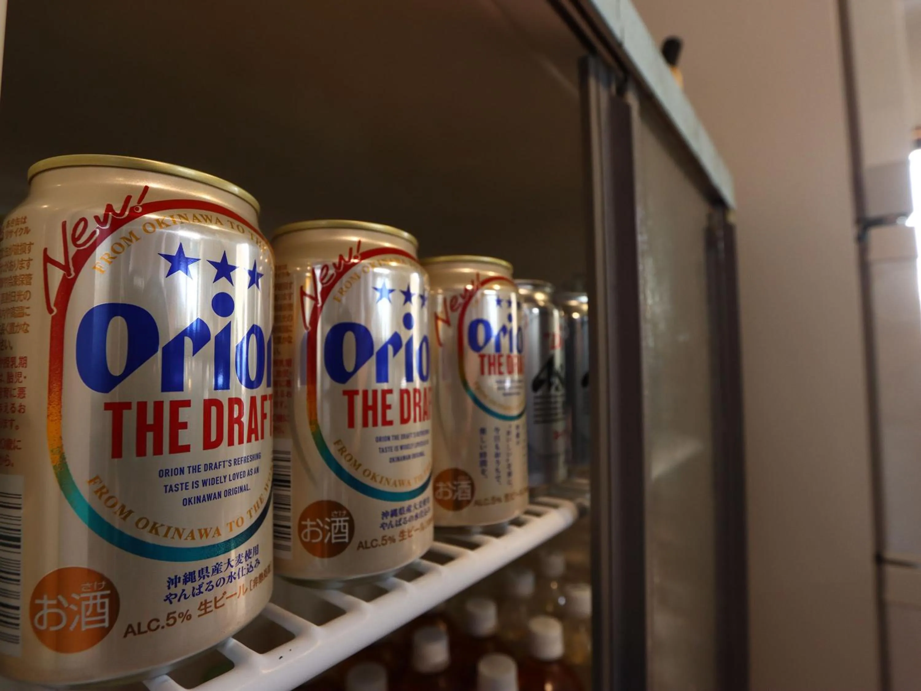 Kitchen or kitchenette in Guesthouse Asibina