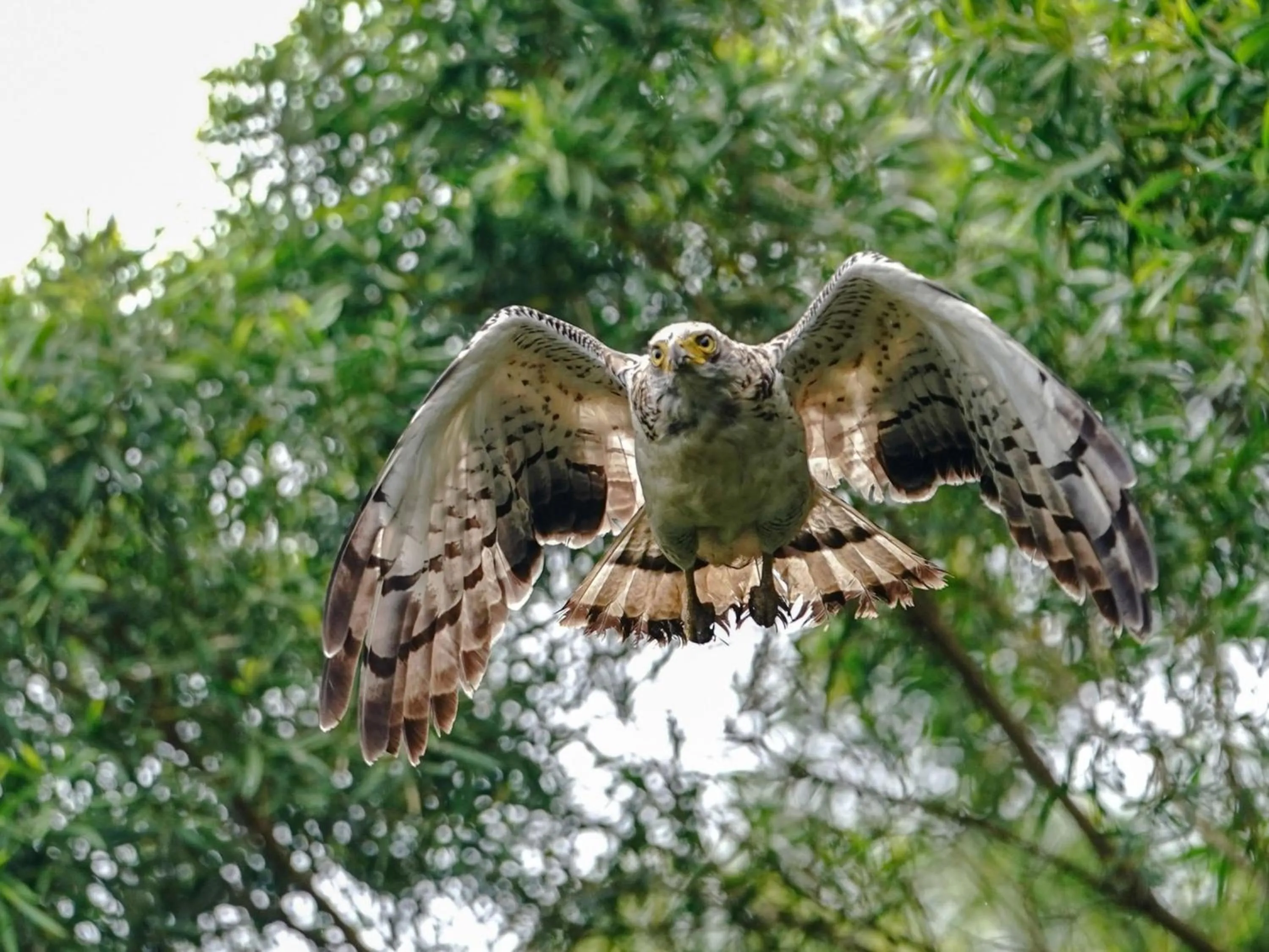 Nearby landmark in Guesthouse Asibina