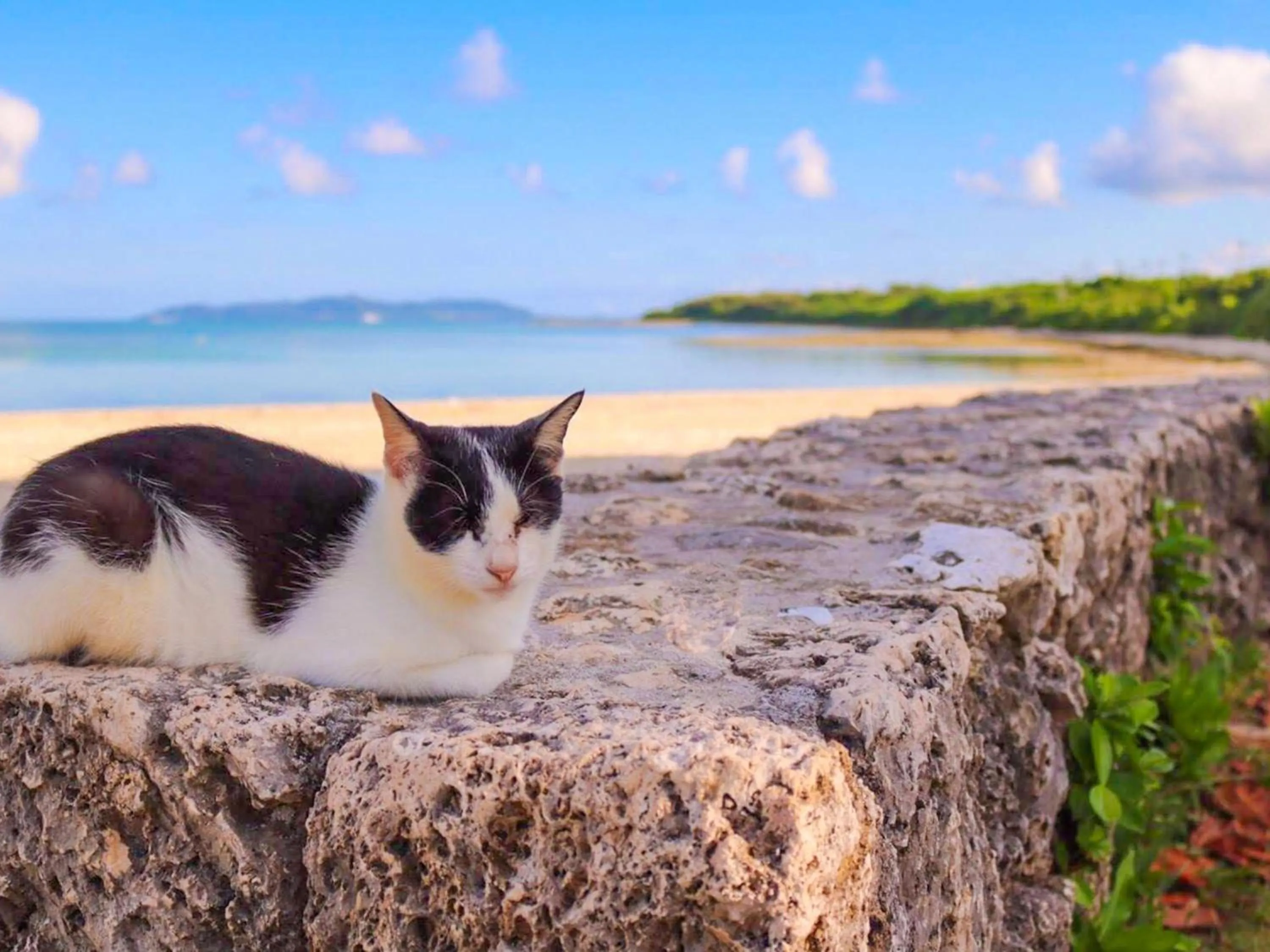 Nearby landmark in Guesthouse Asibina