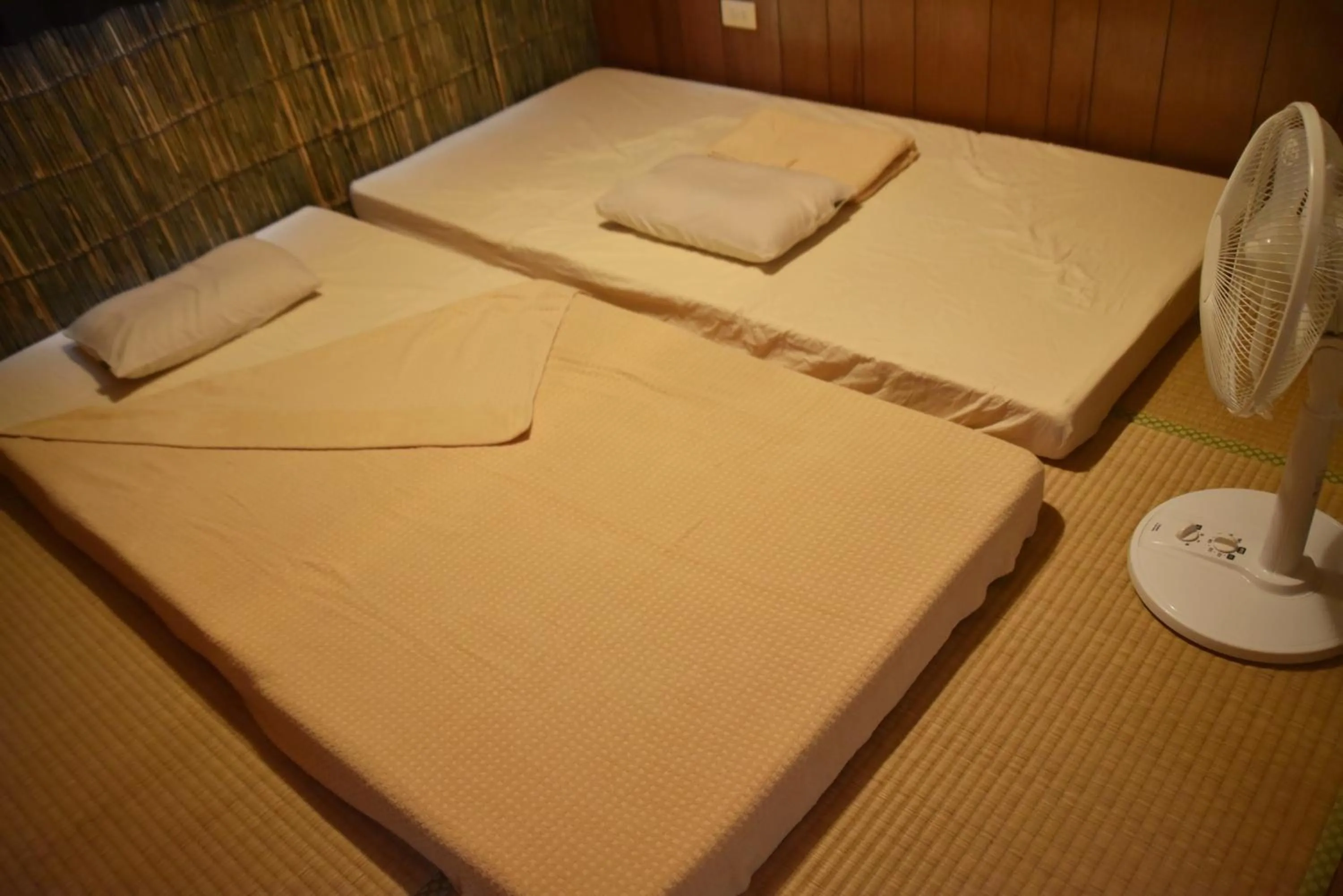 Bed in Guesthouse Asibina