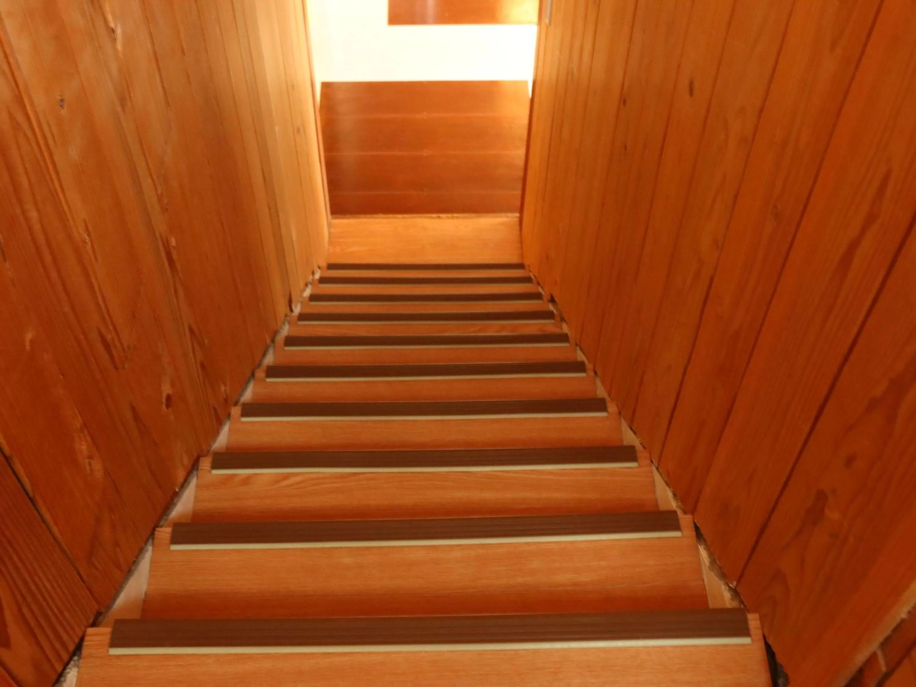 Area and facilities in Guesthouse Asibina