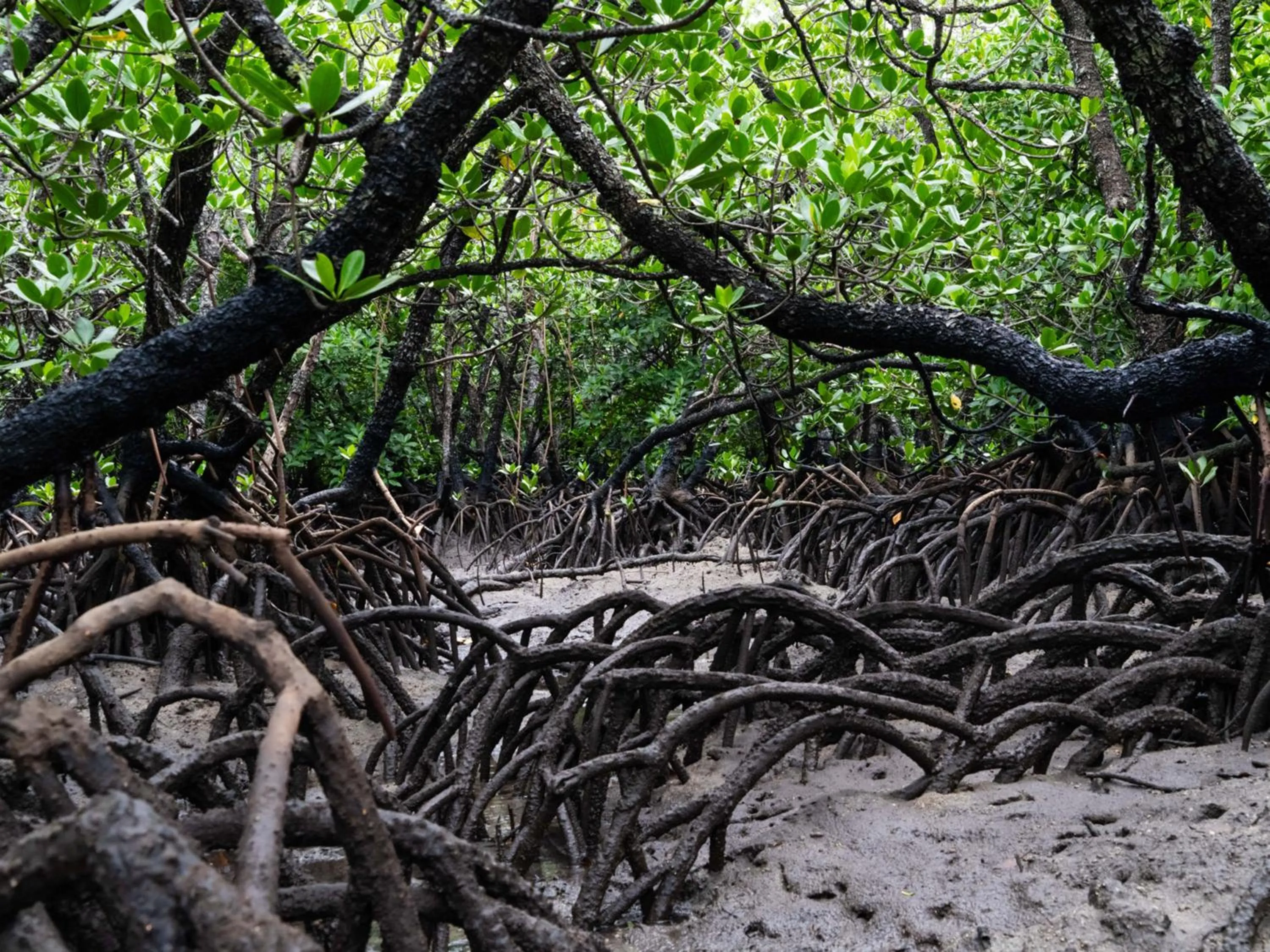Nearby landmark in Guesthouse Asibina