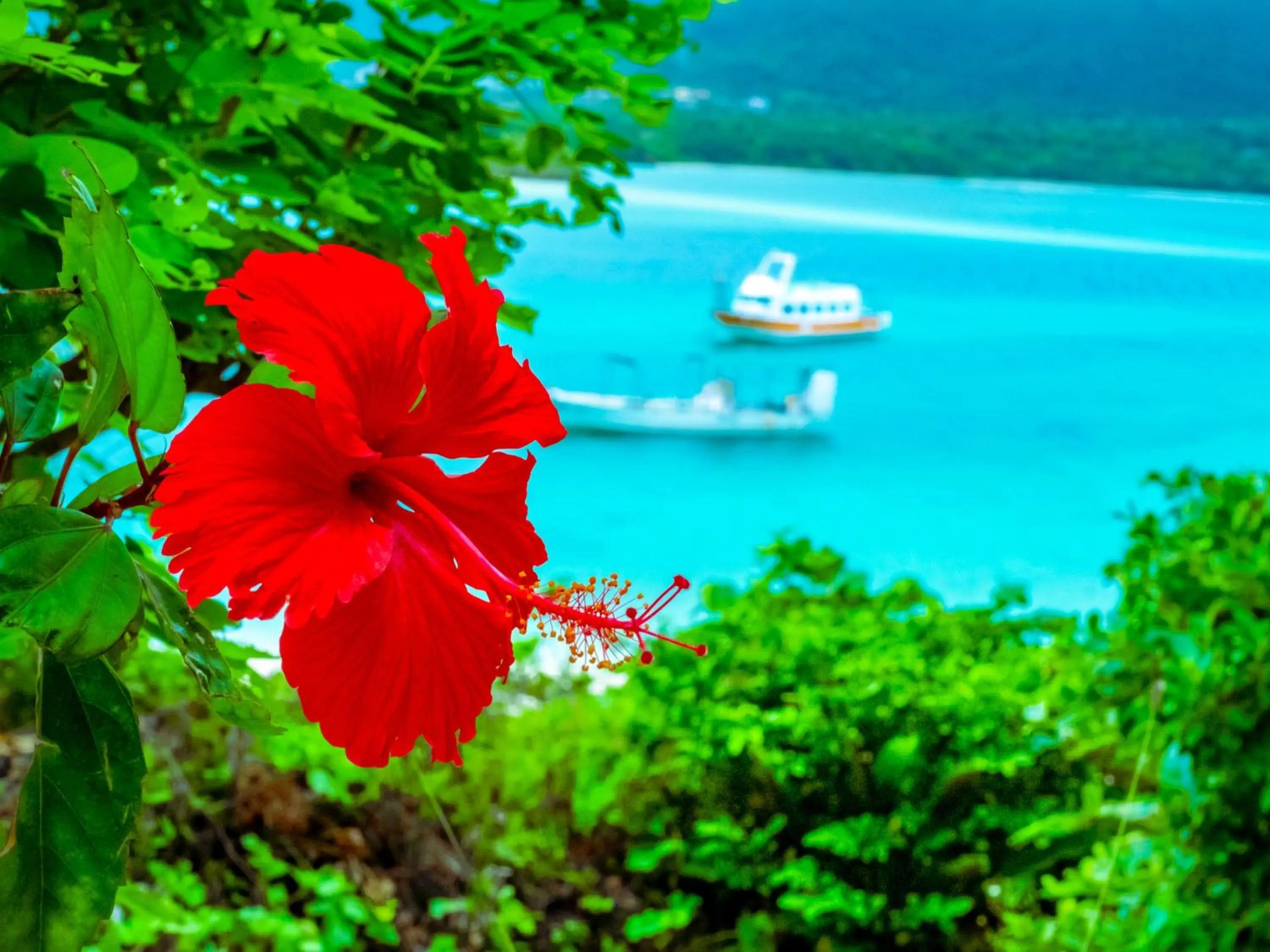 Nearby landmark in Guesthouse Asibina