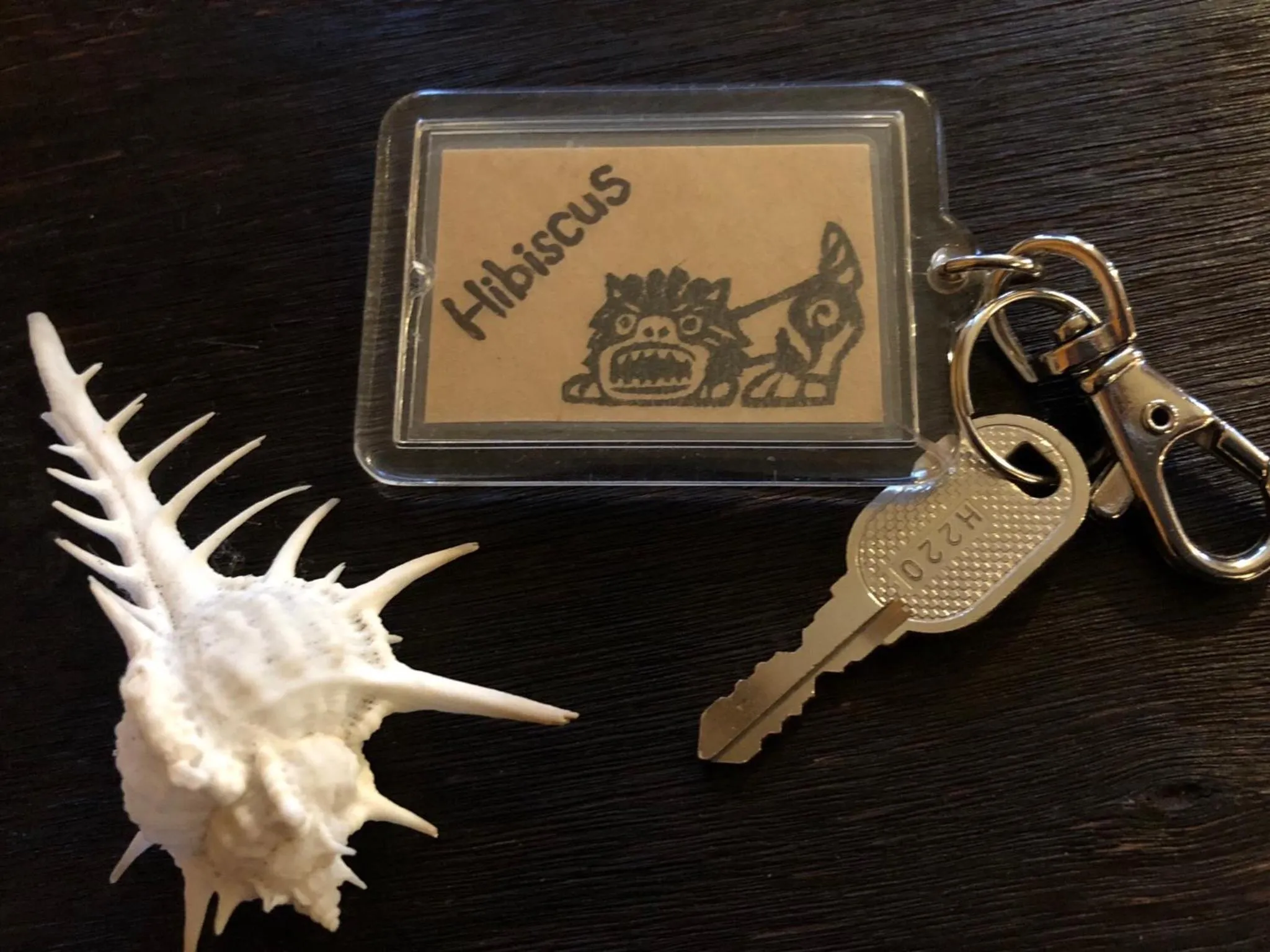 Area and facilities in Guesthouse Asibina