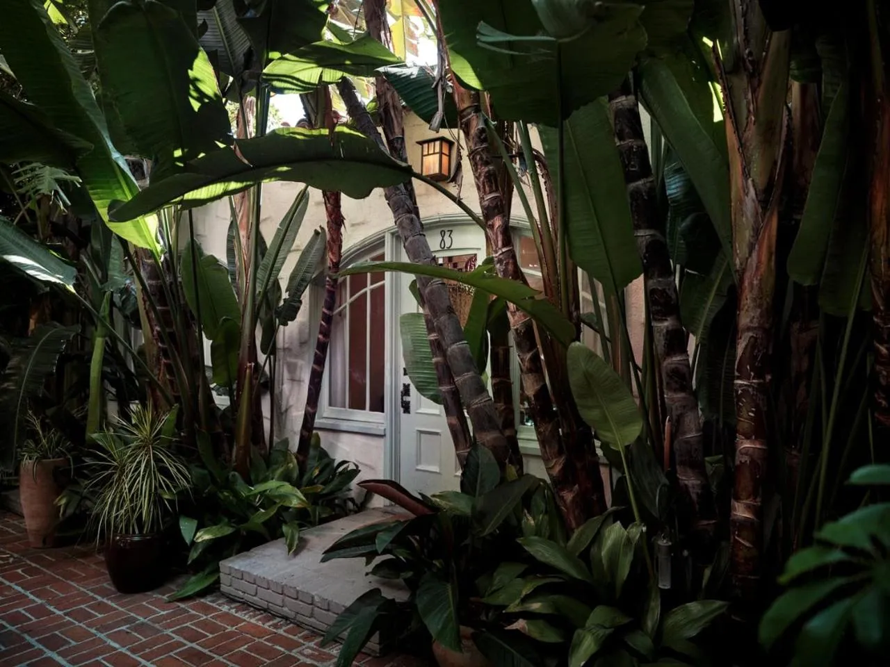 Garden in Chateau Marmont